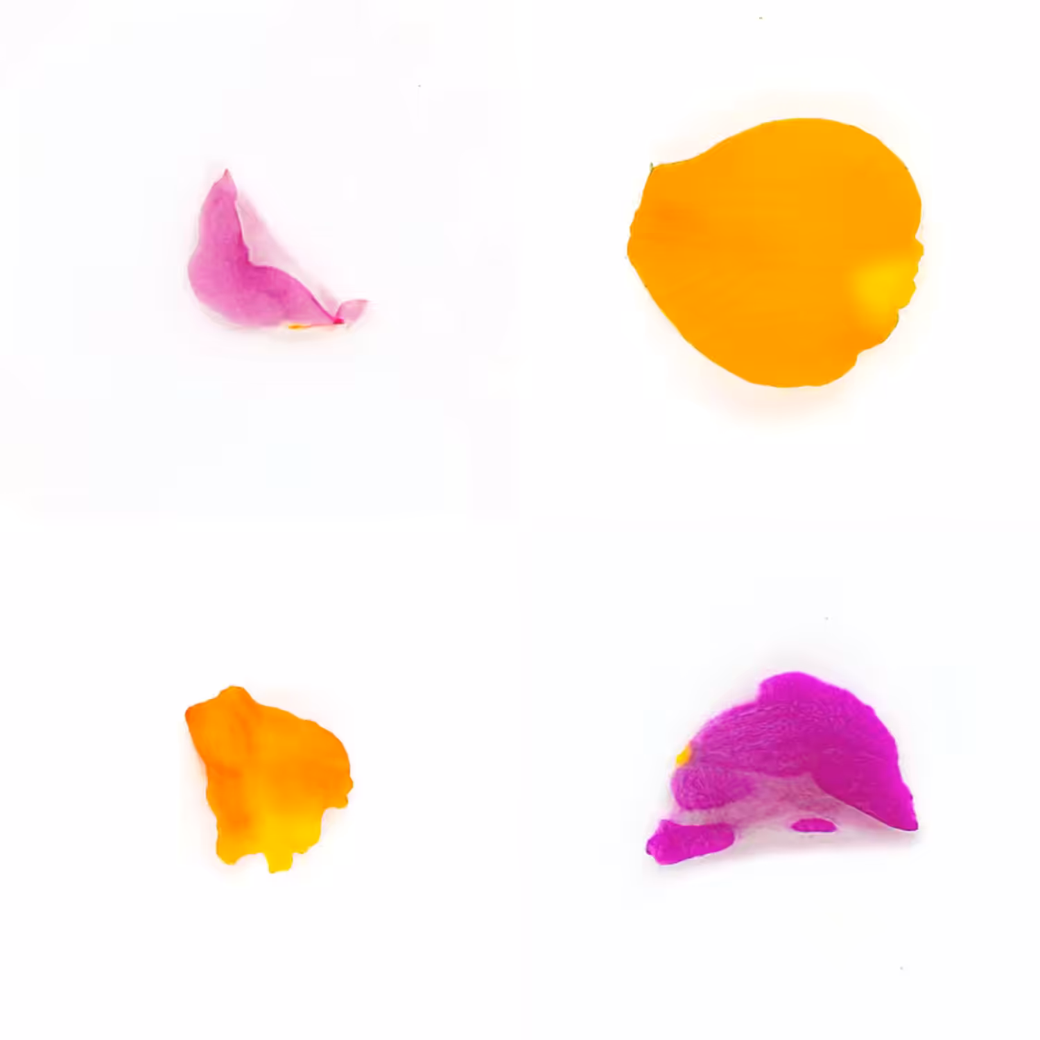 Infinite Petals 2x2#20145