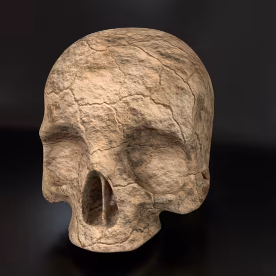 SkullZ #178