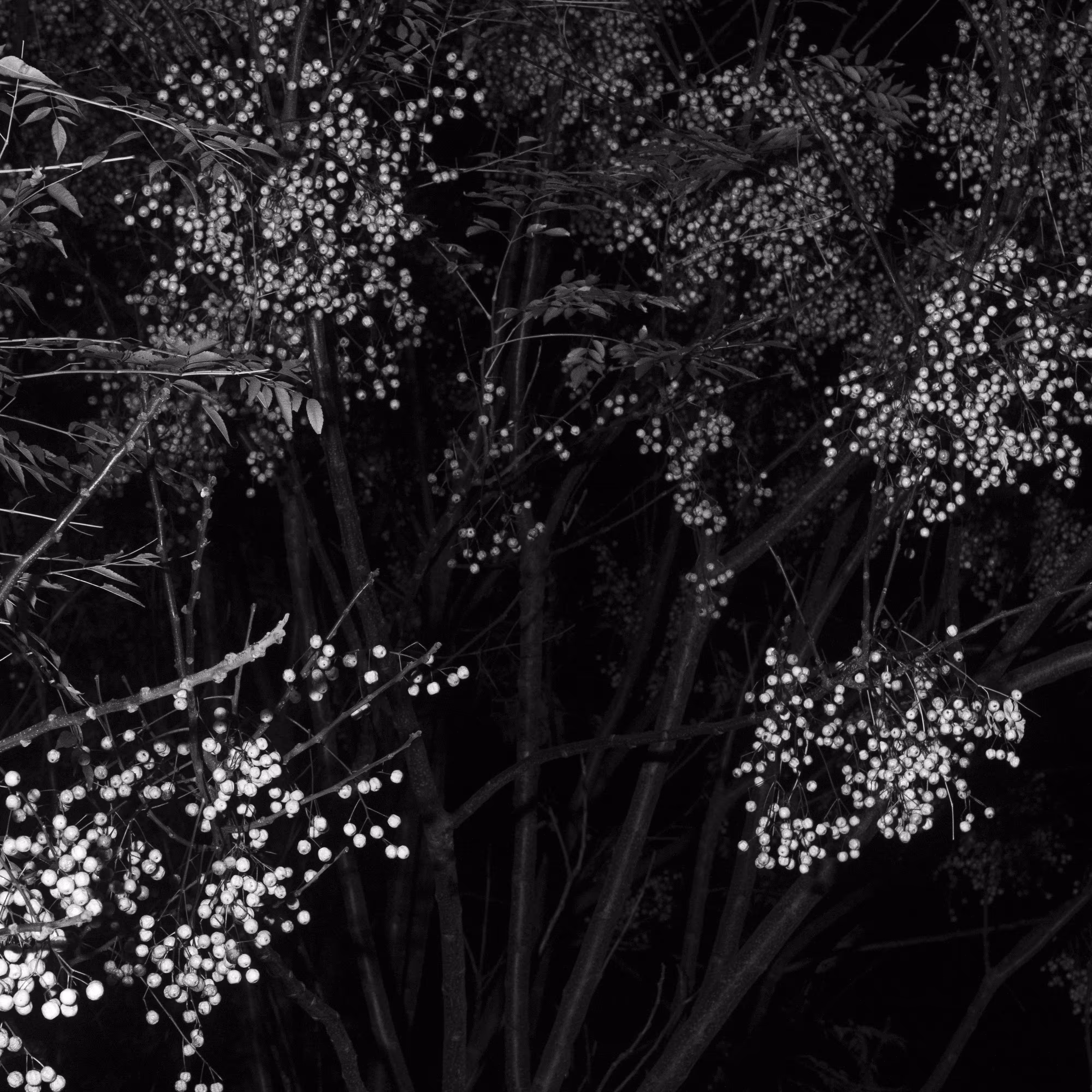 A SPACE BEYOND #3