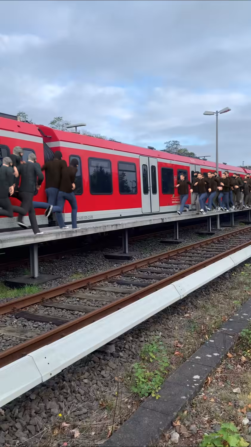 "Human Sheep Herds" 1920x1080px