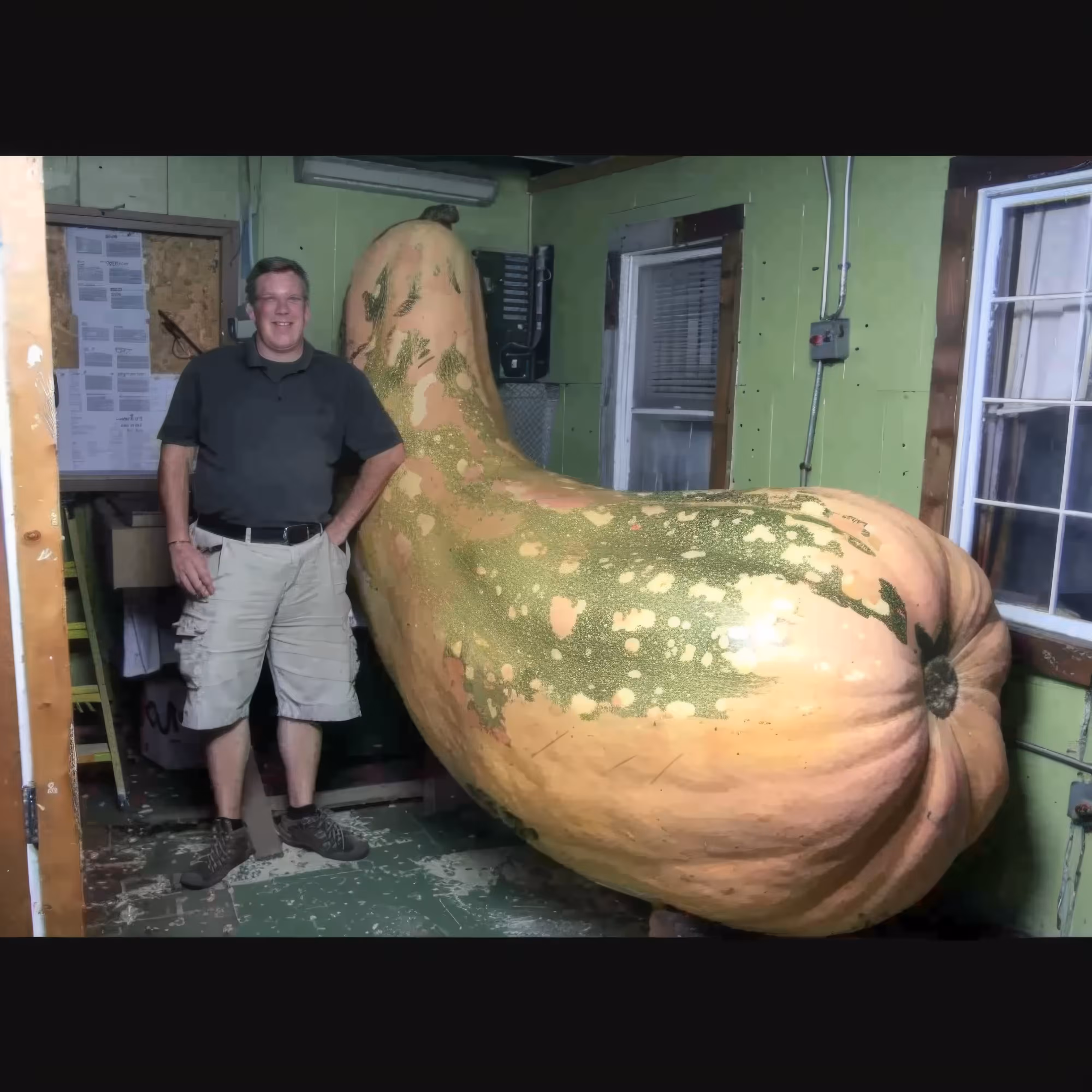 Look-What-I-Grew
