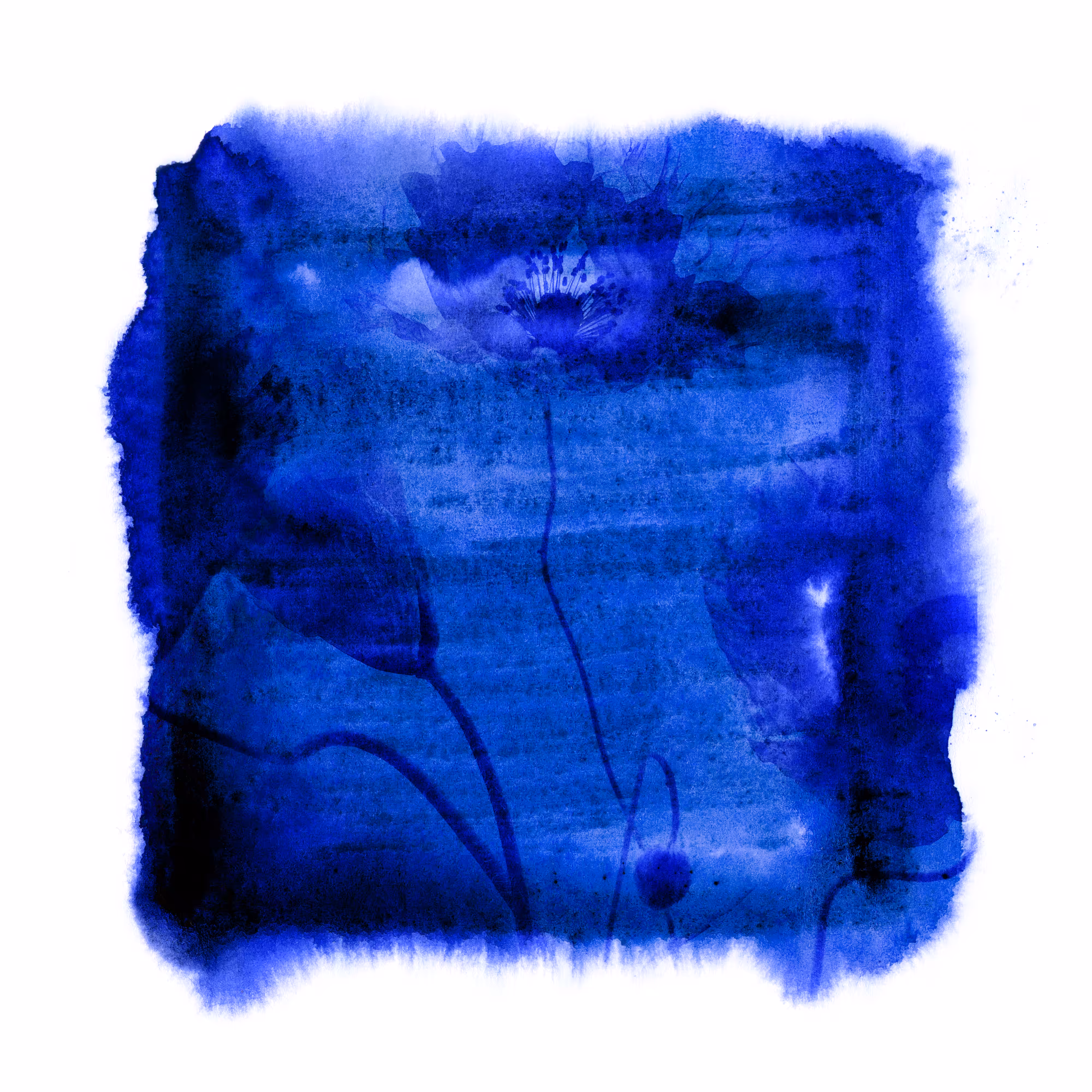 Blues garden #08