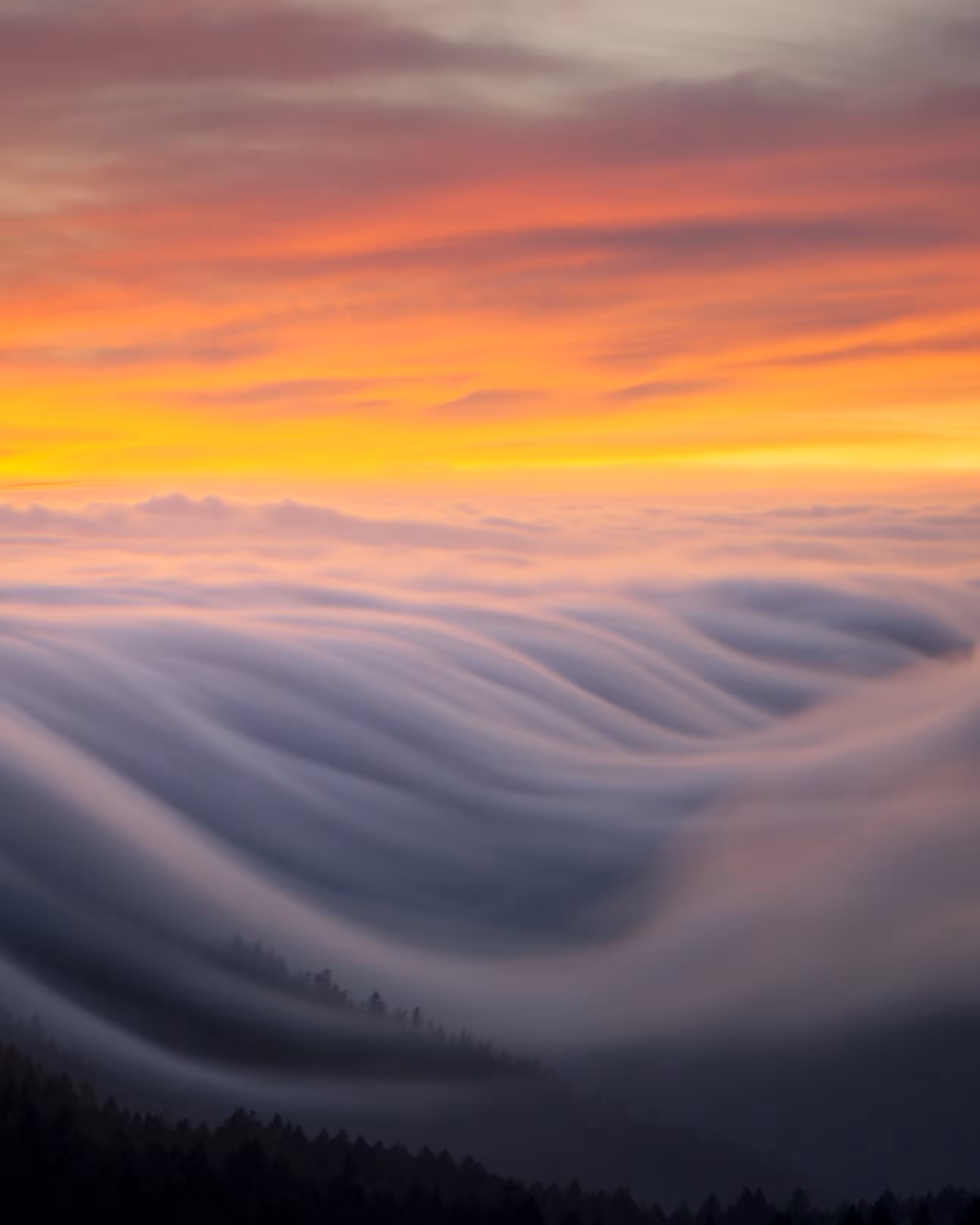 From a Dream