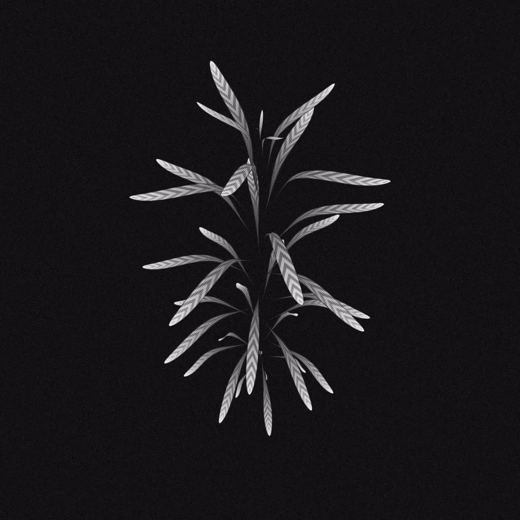 plant #38