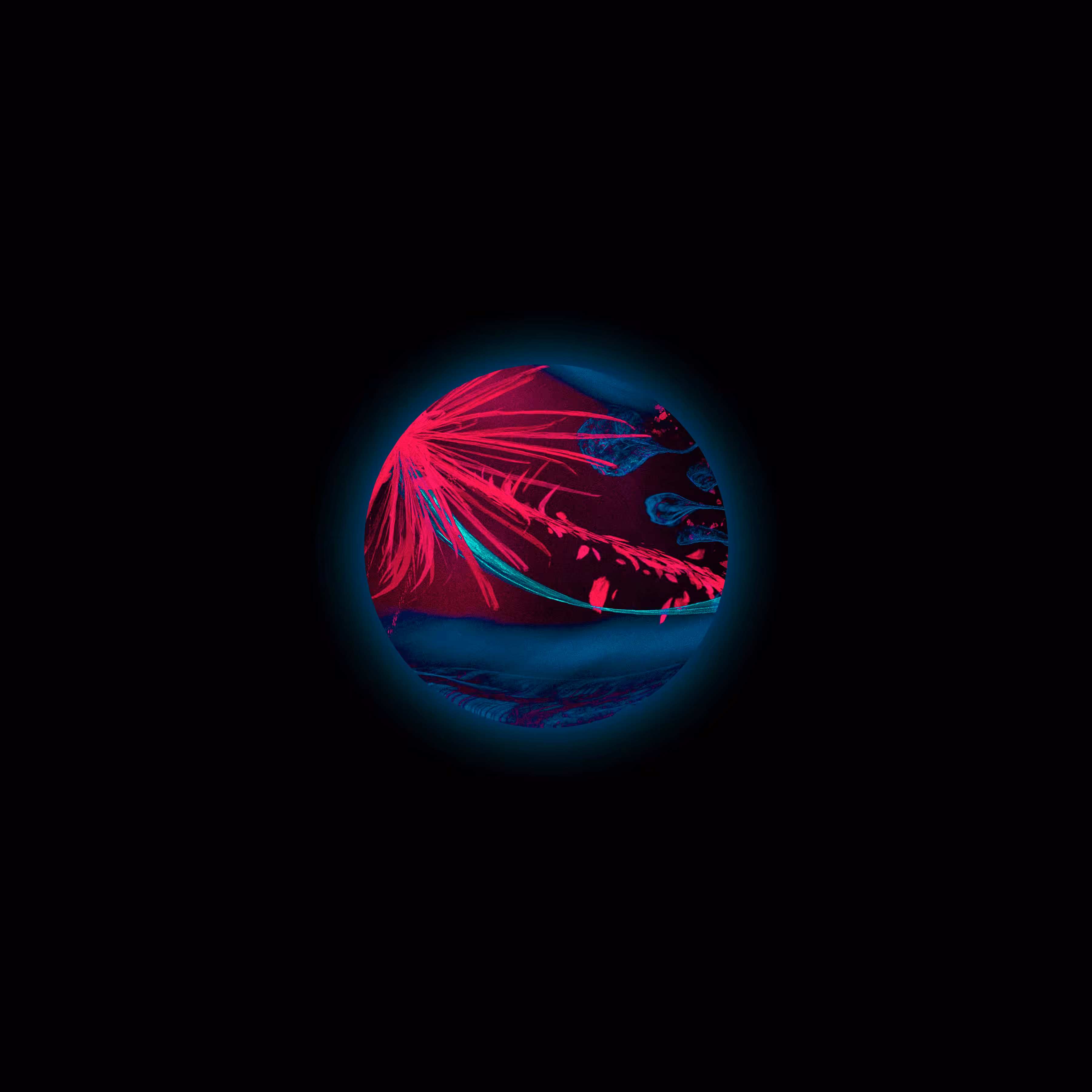 S001_0015