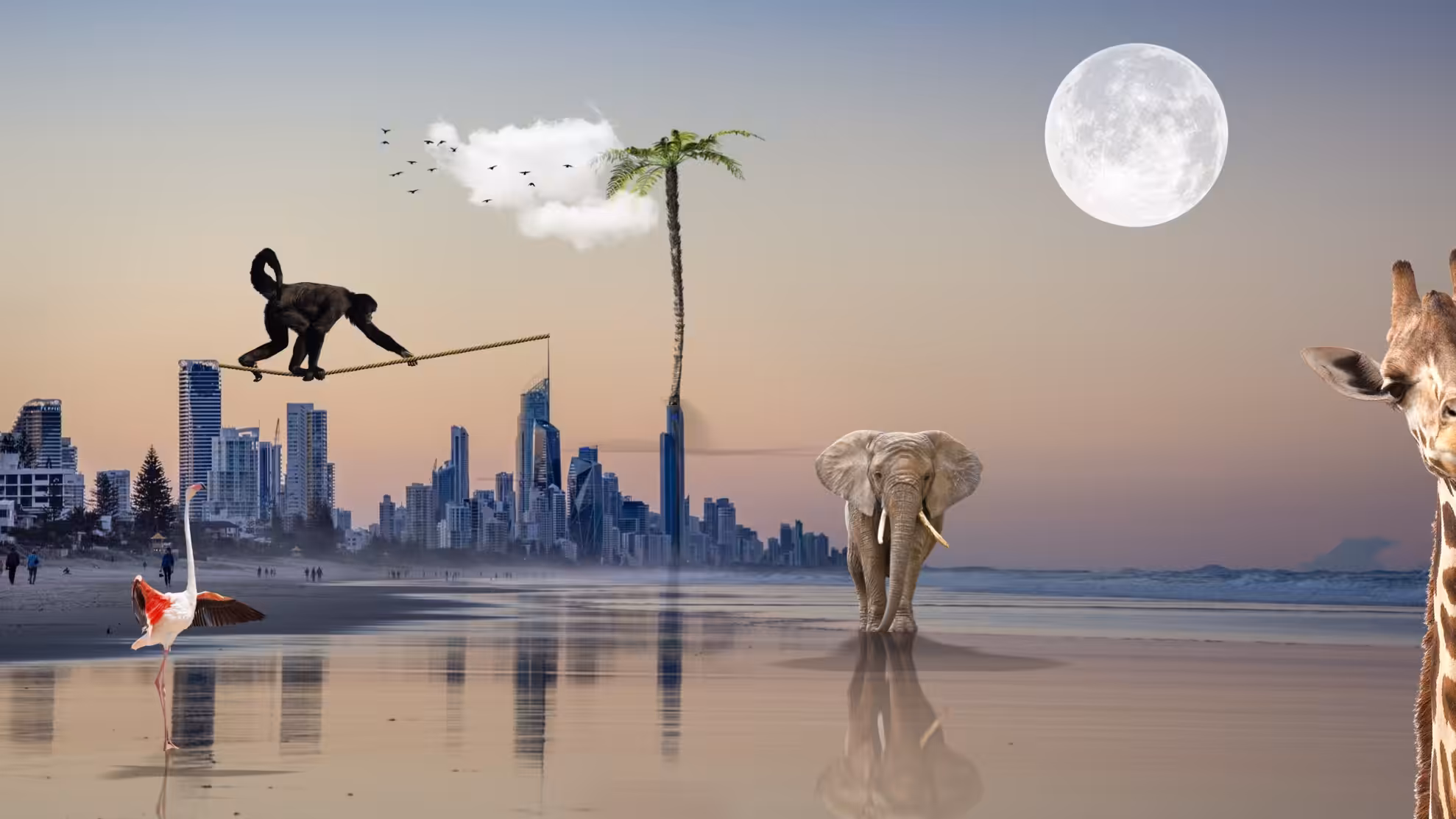 Giraffe beach