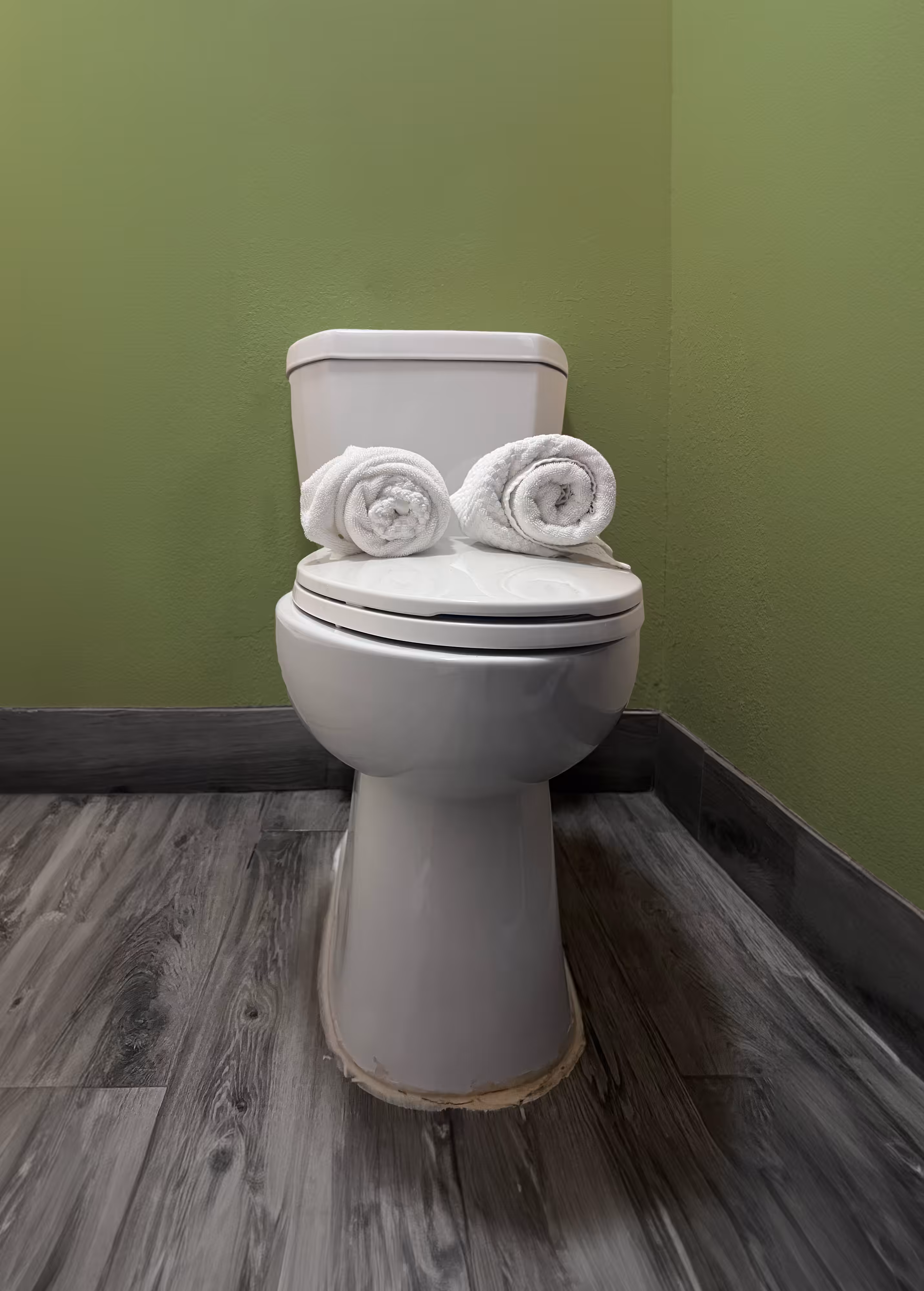Pepe Toilets NYC #20