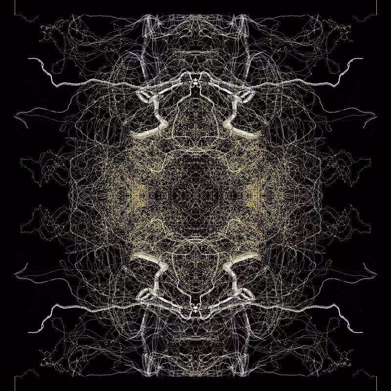 /\~Ô~/\ #2
