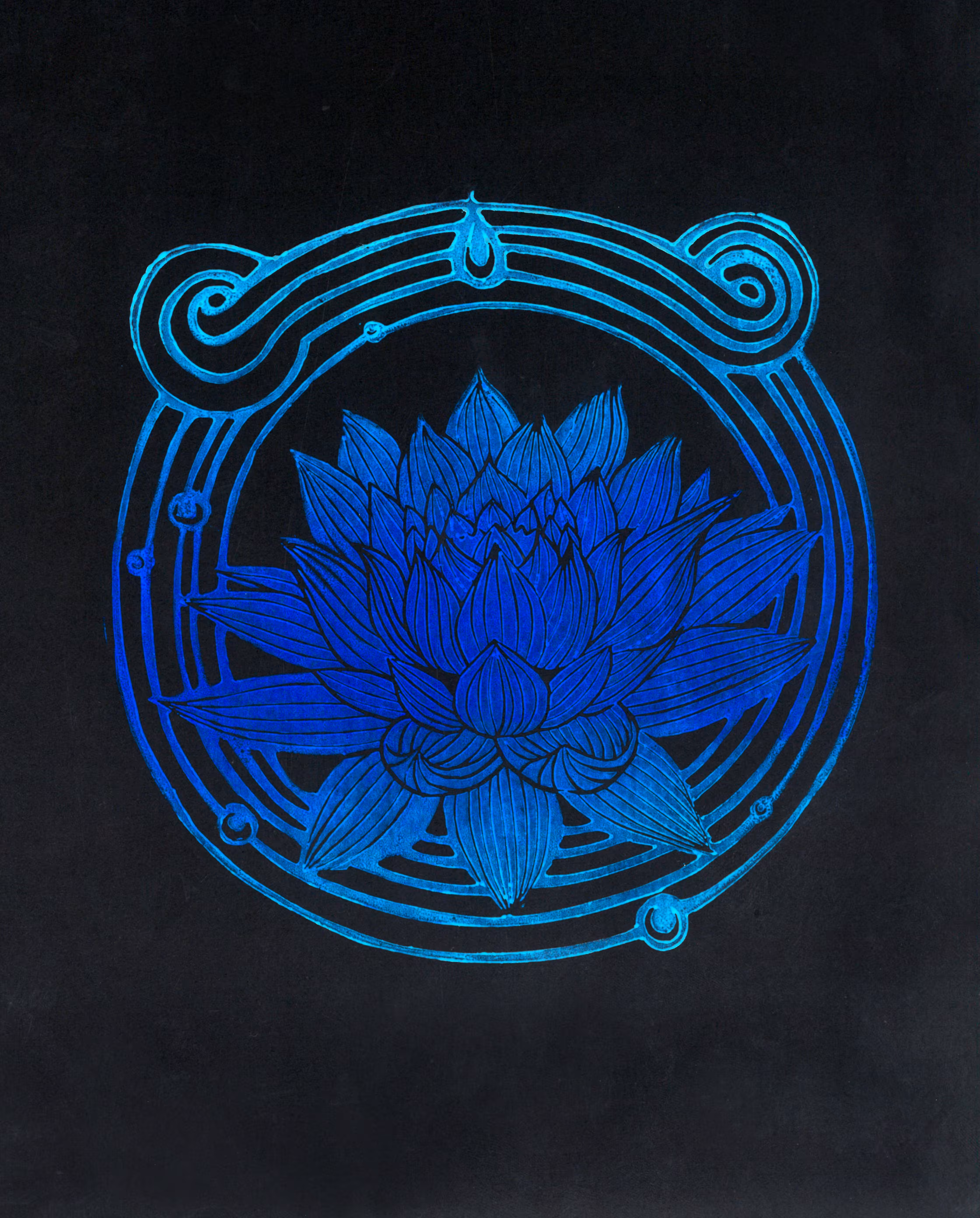 Cosmic Harmony of the Lotus