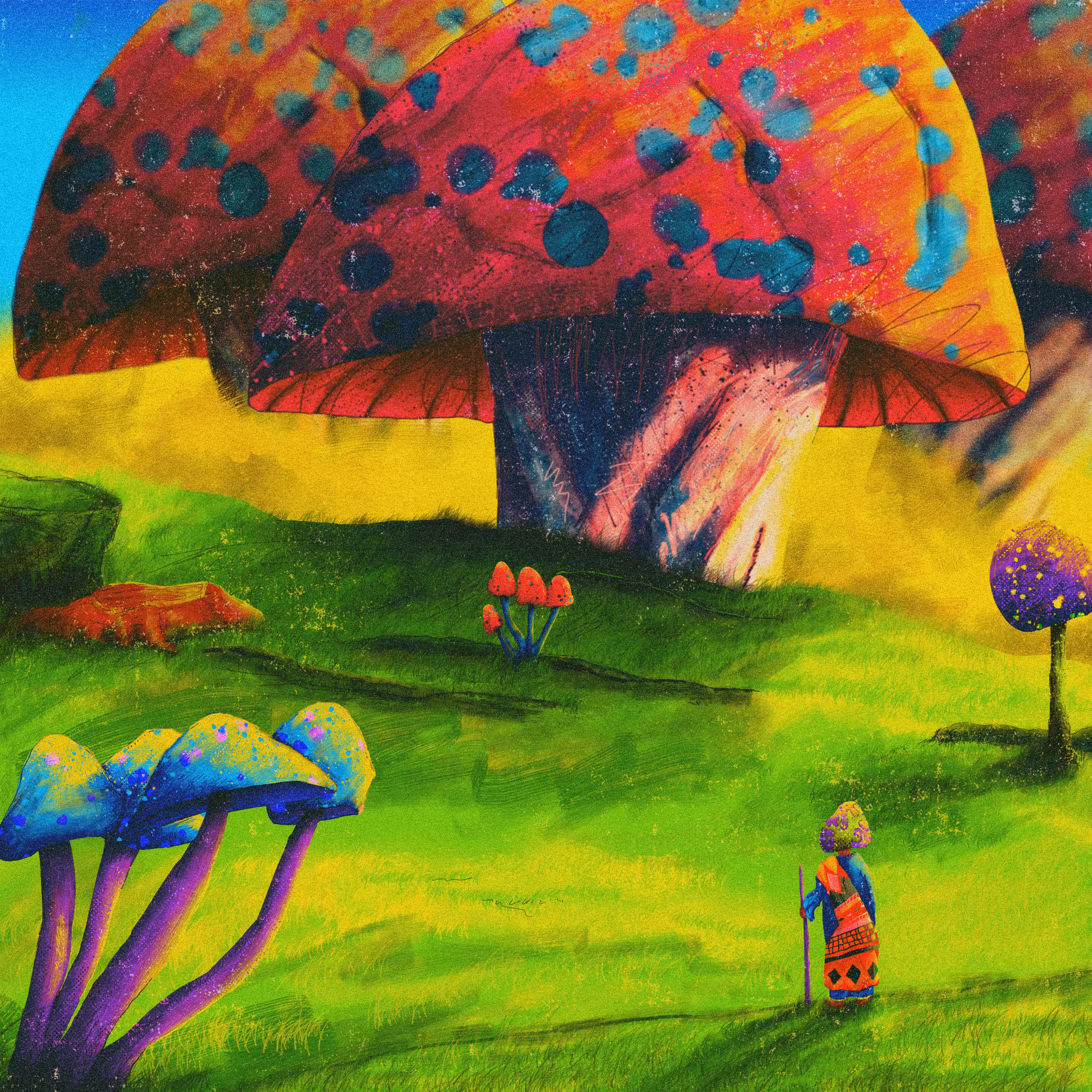 Mushroom Mountain
