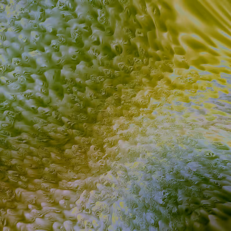 Noise Corals #87