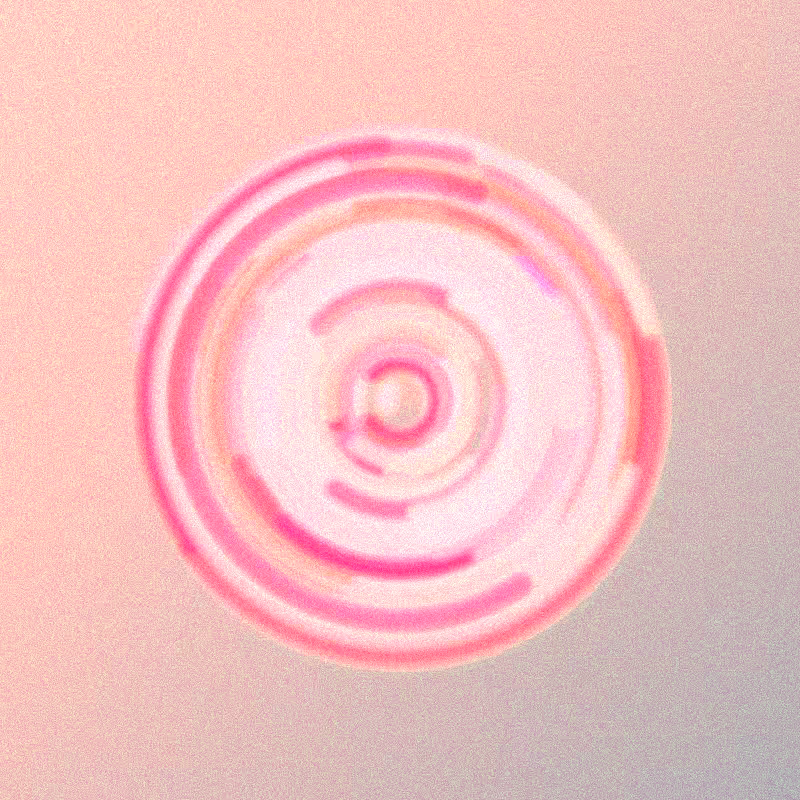 Wisp #959