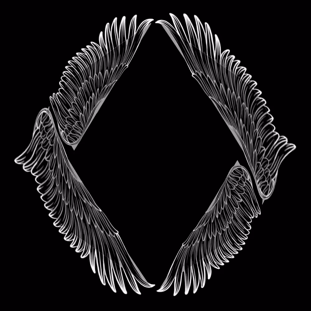 ENS-Angels