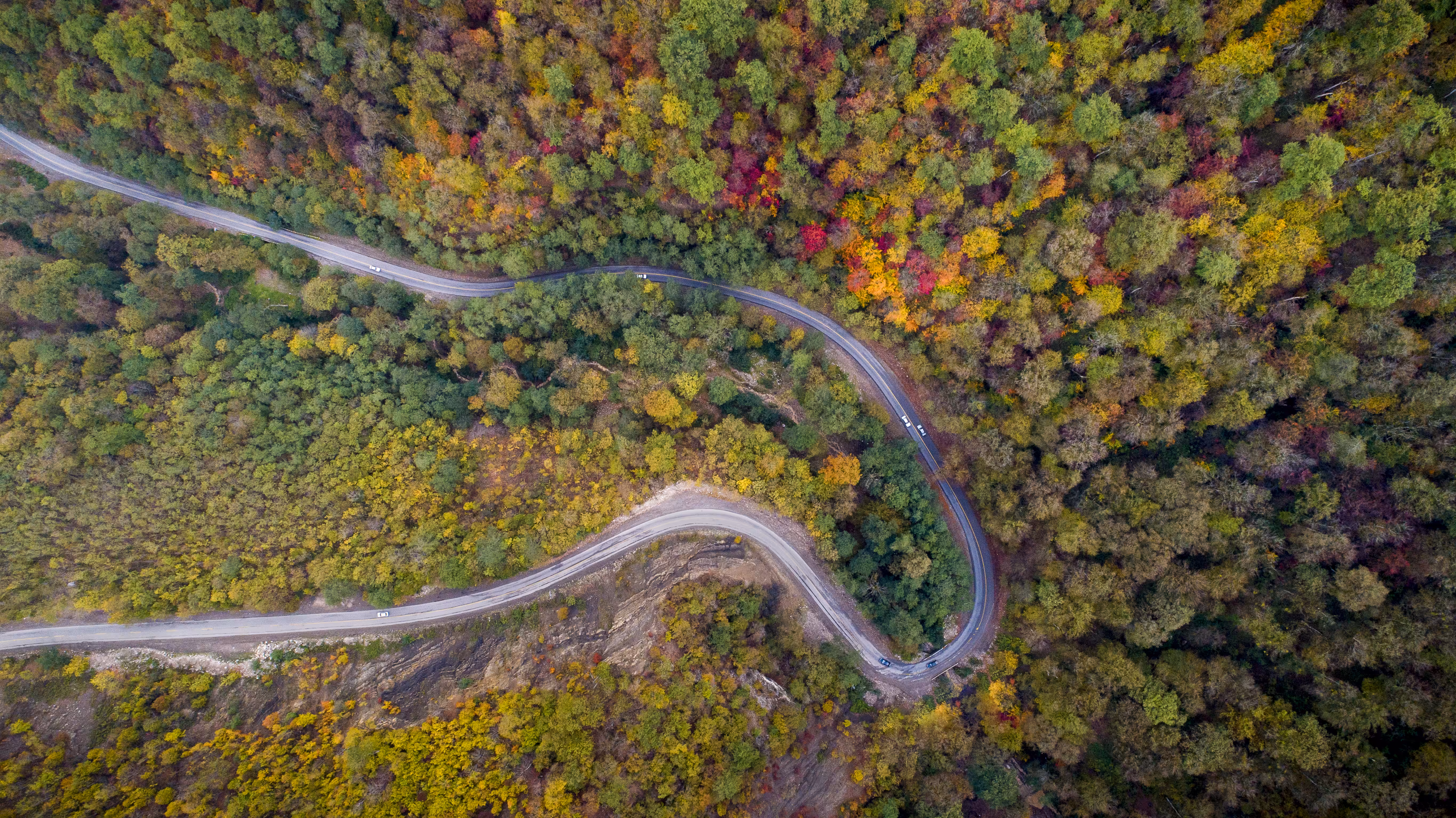 Autumn