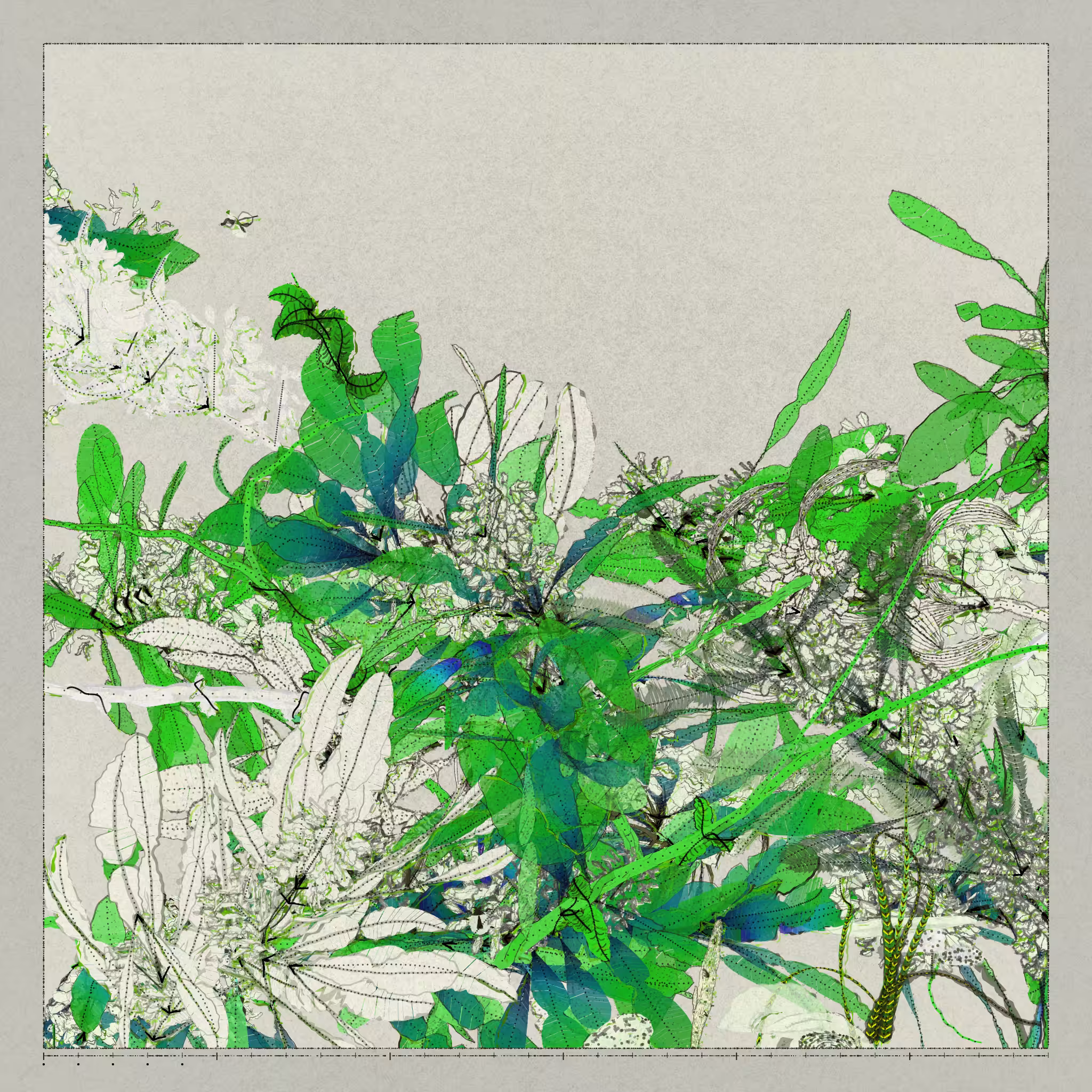 Polypaths | 植徑集 #173