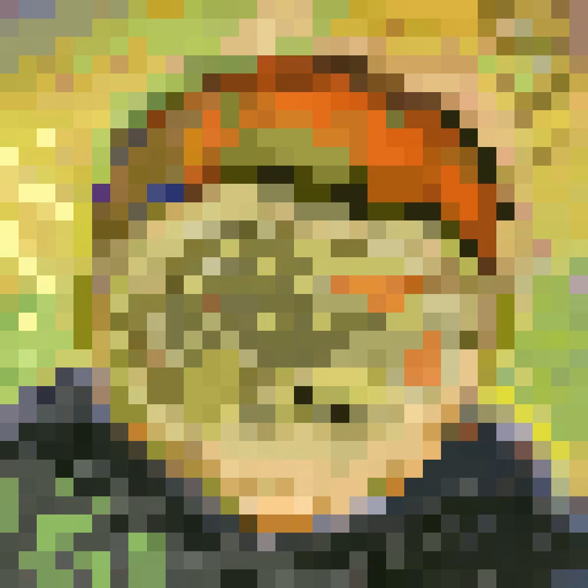 pirate