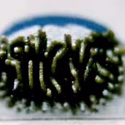 stickynetworks.com (1999-2000) reimagined by Cosmographia, with Simon Denny and Guile Twardowski