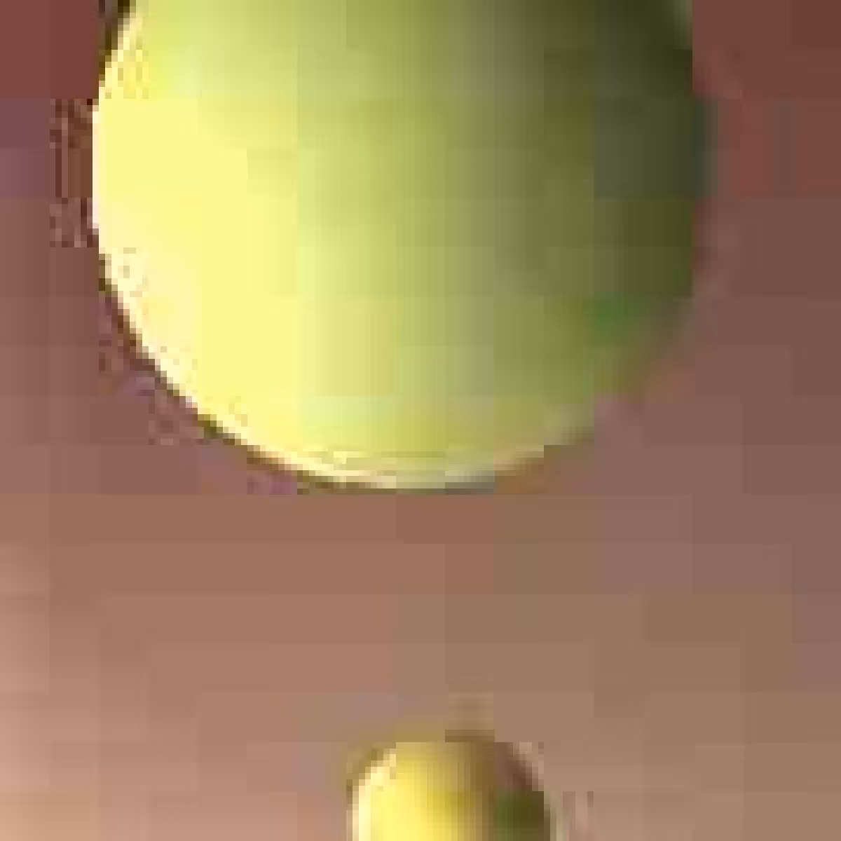 Orbit 455190699