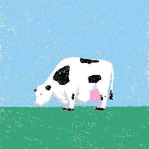 cow #205