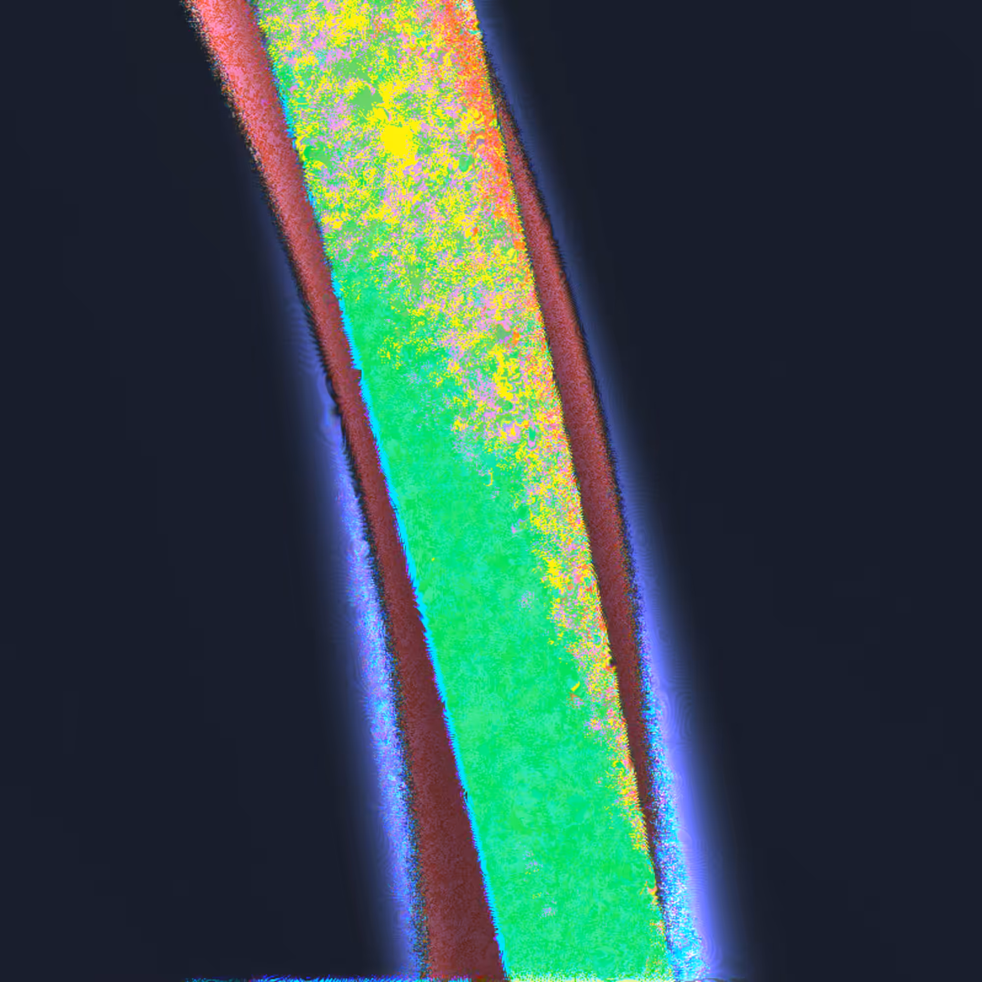 L̳I̳N̳E̳S̳ ̳A̳N̳D̳ ̳C̳E̳L̳L̳S̳ #2