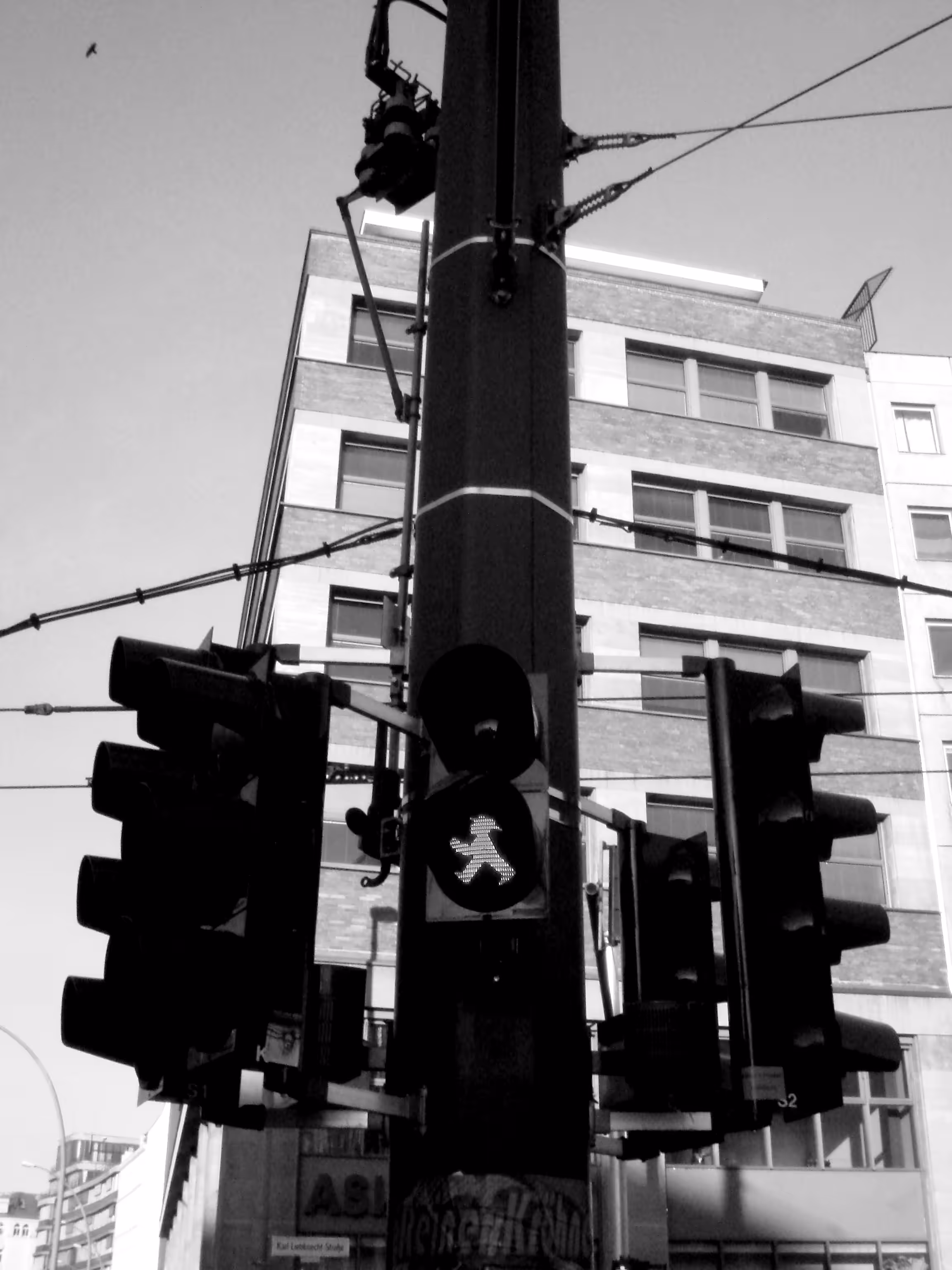 GREEN LIGHT 
