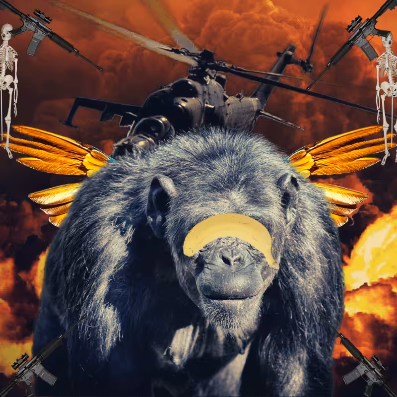 Blinded apes #44
