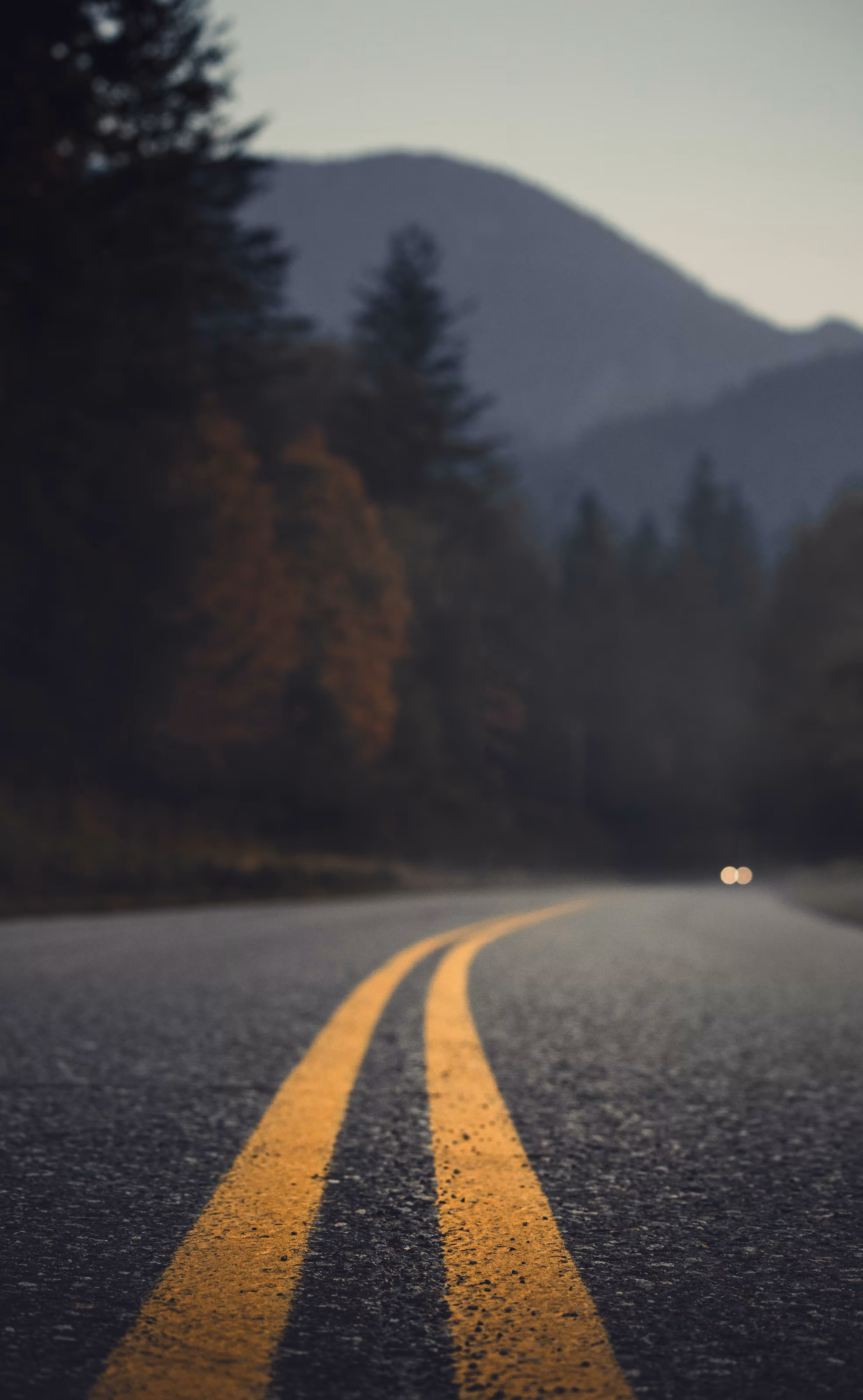 Driving Nowhere