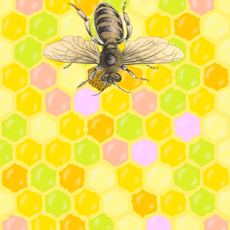 Let's Get Down To Bees-ness #5