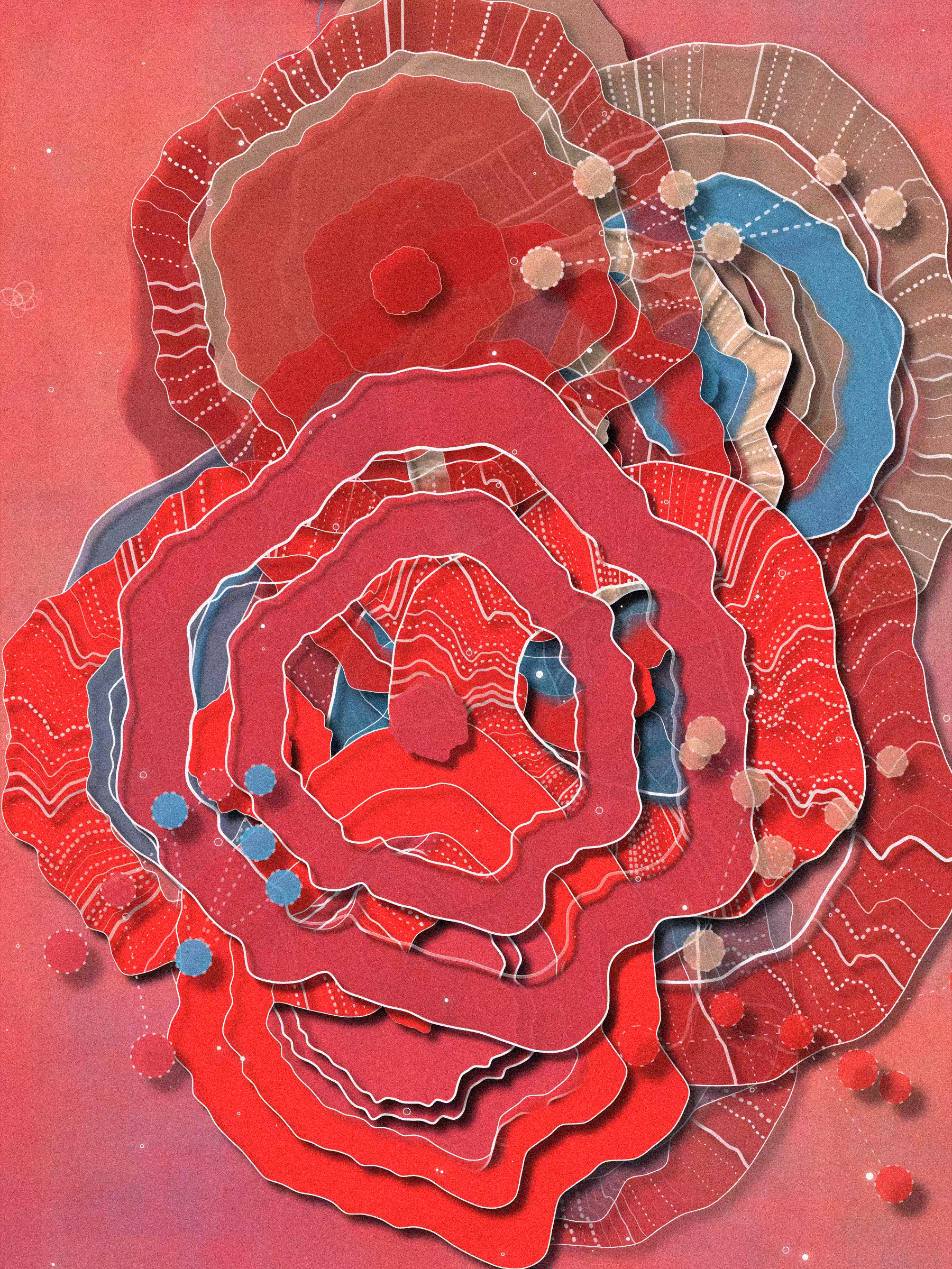 Coral #19
