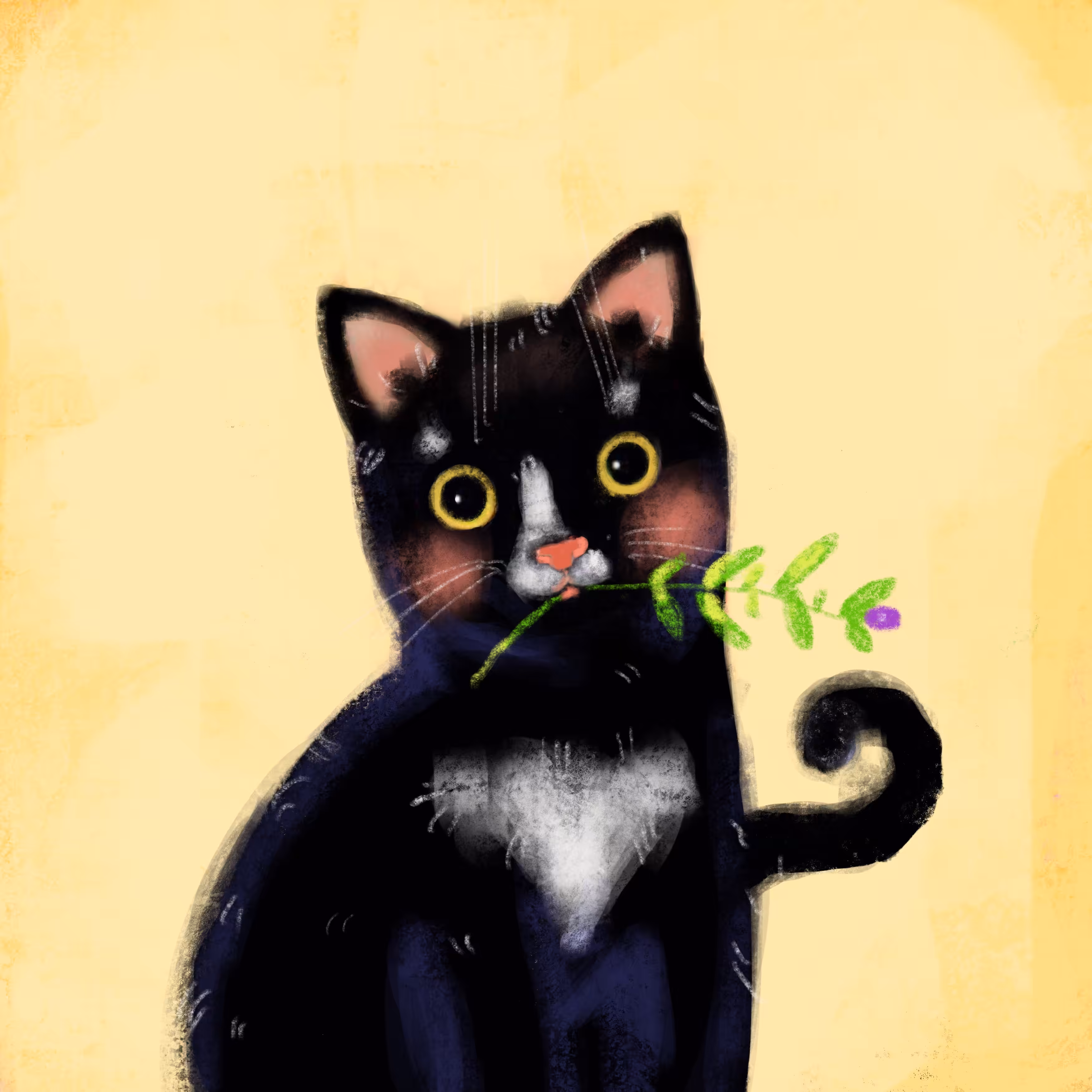 #9 Markus