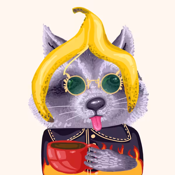 Cool Raccoon Collection #27