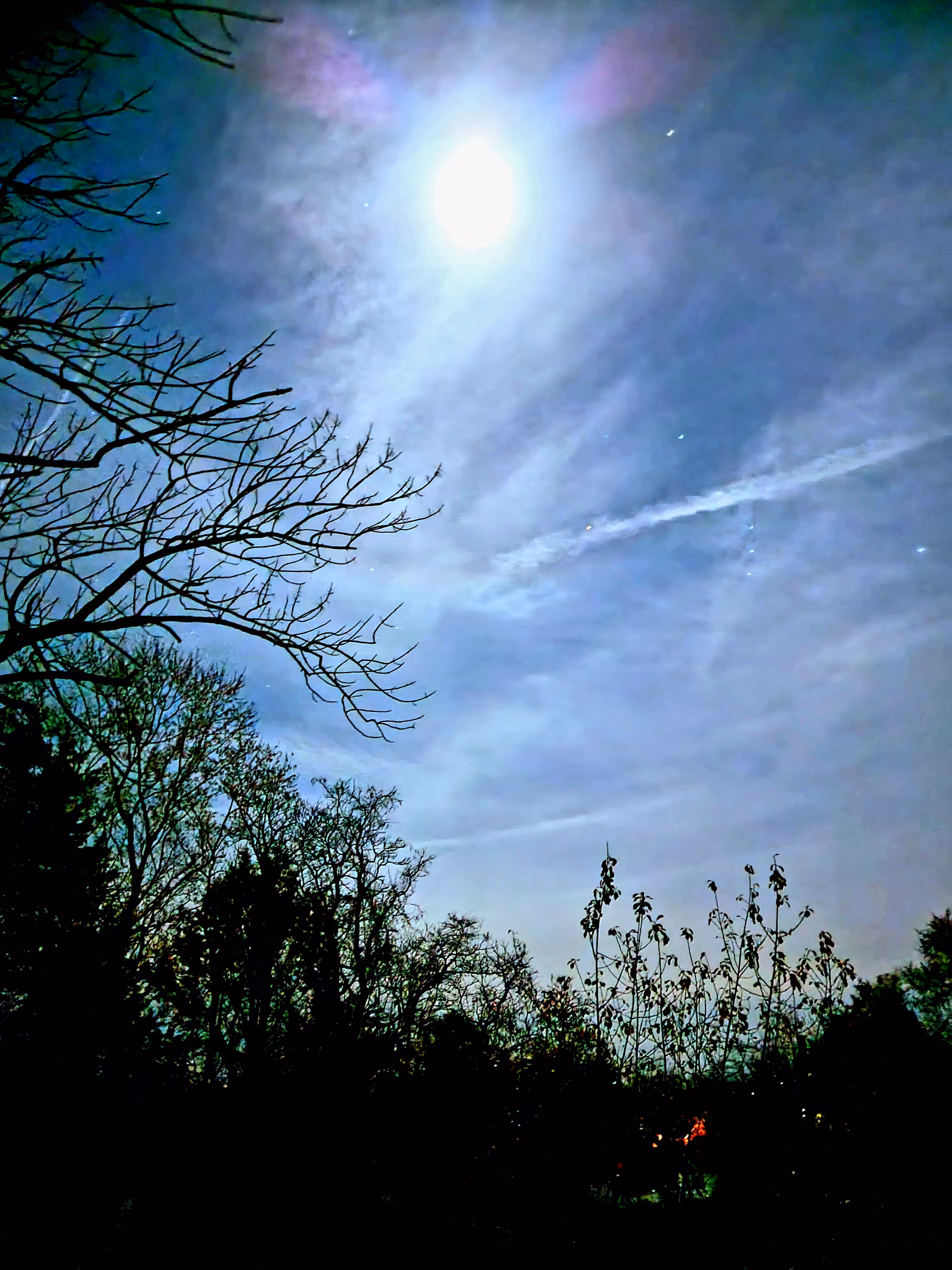 in the evening