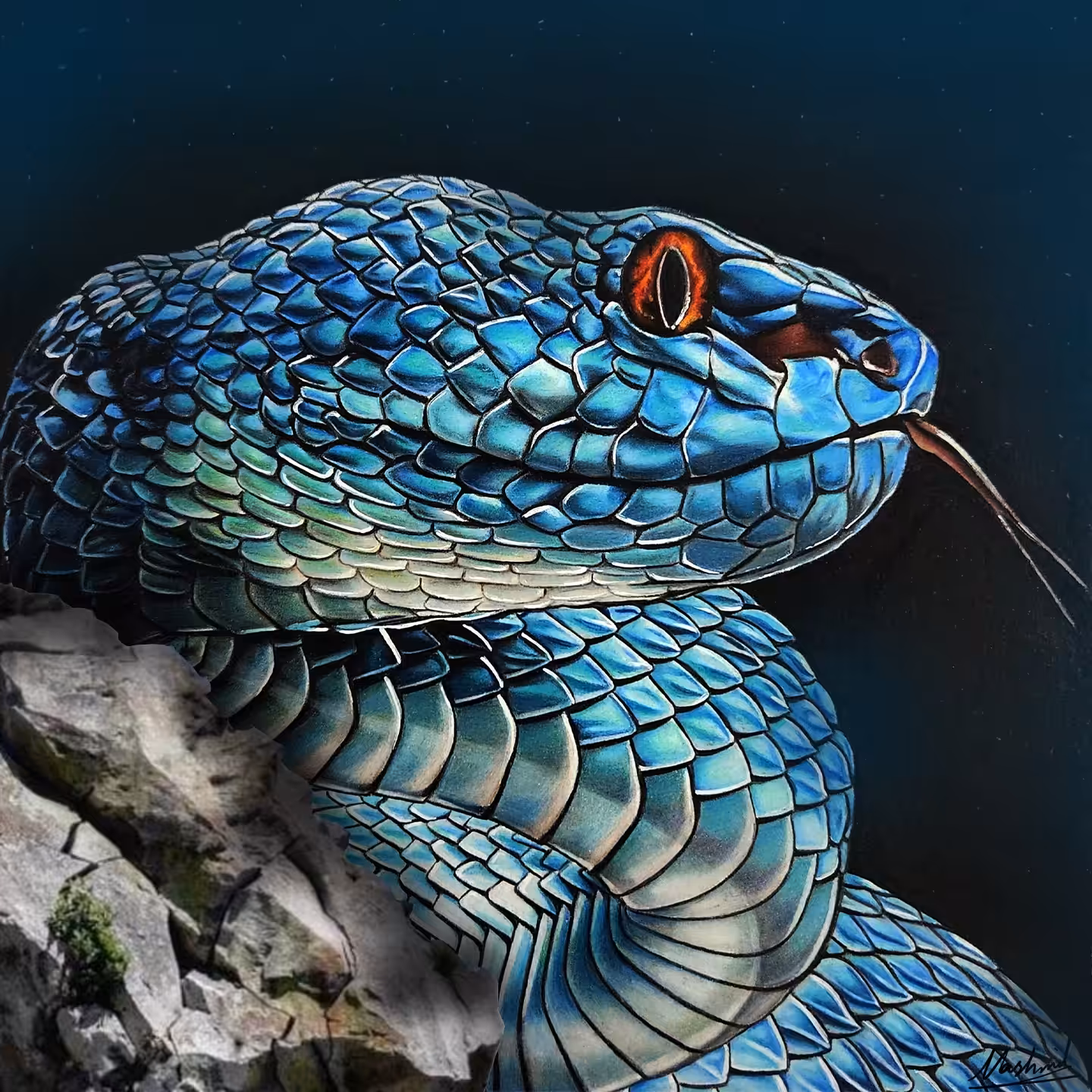 Blue Viper