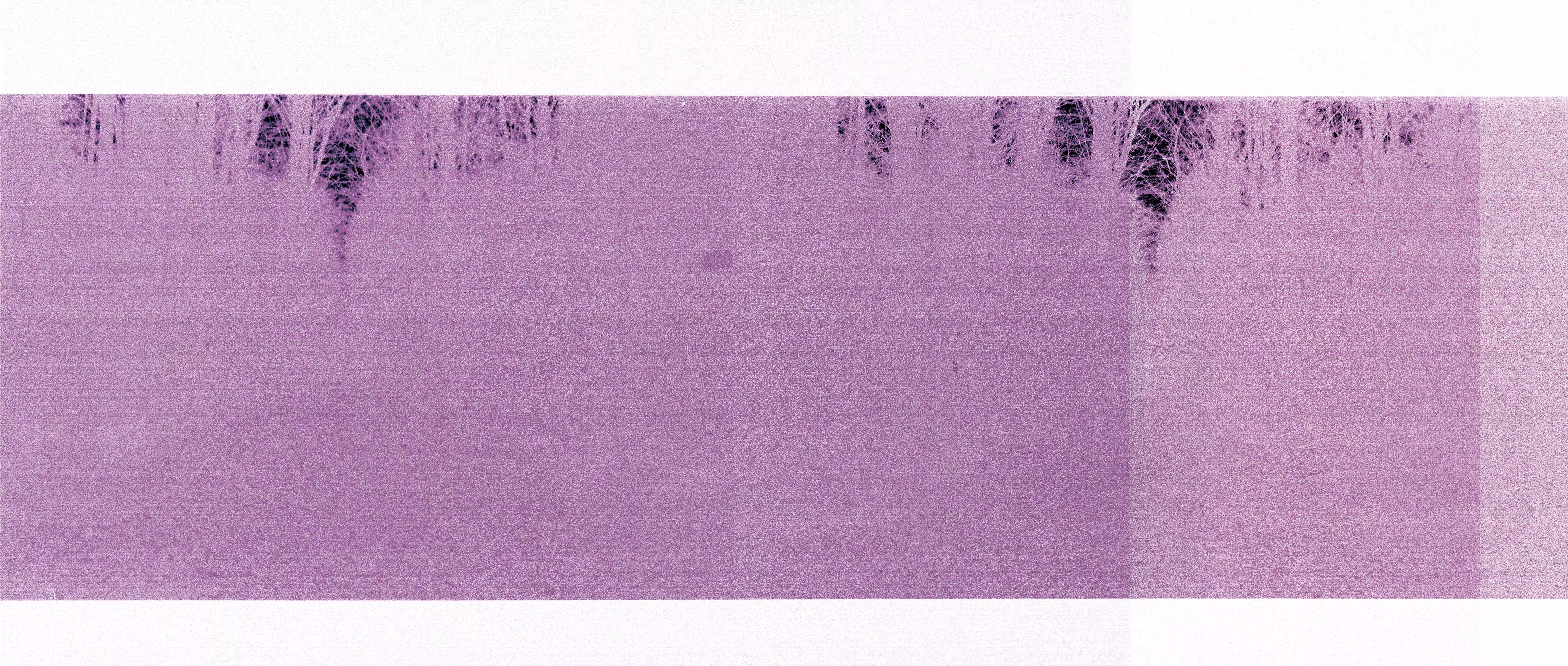 Purple Lines