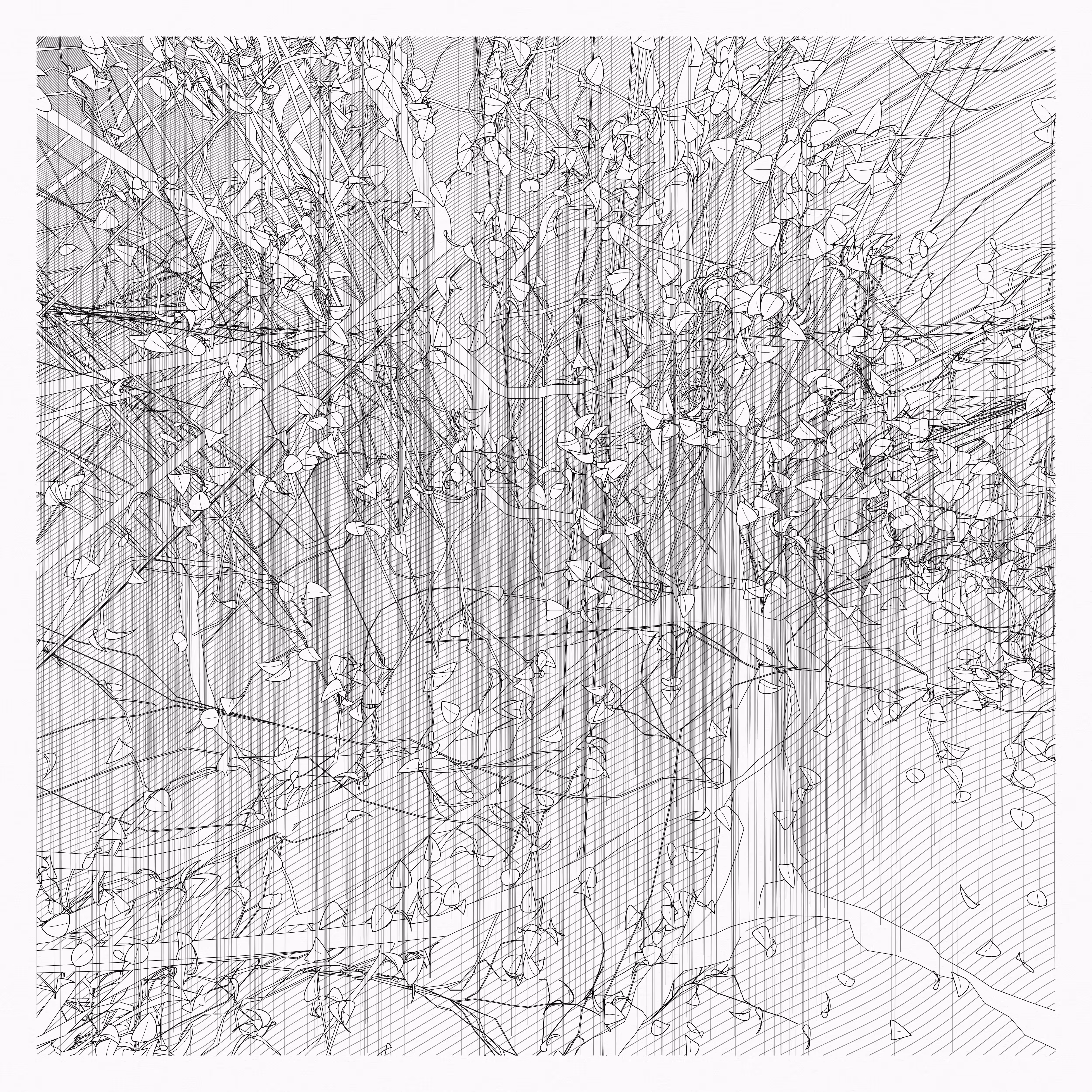A Bugged Forest #507
