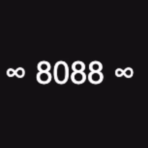 ∞ 8088 ∞ ...