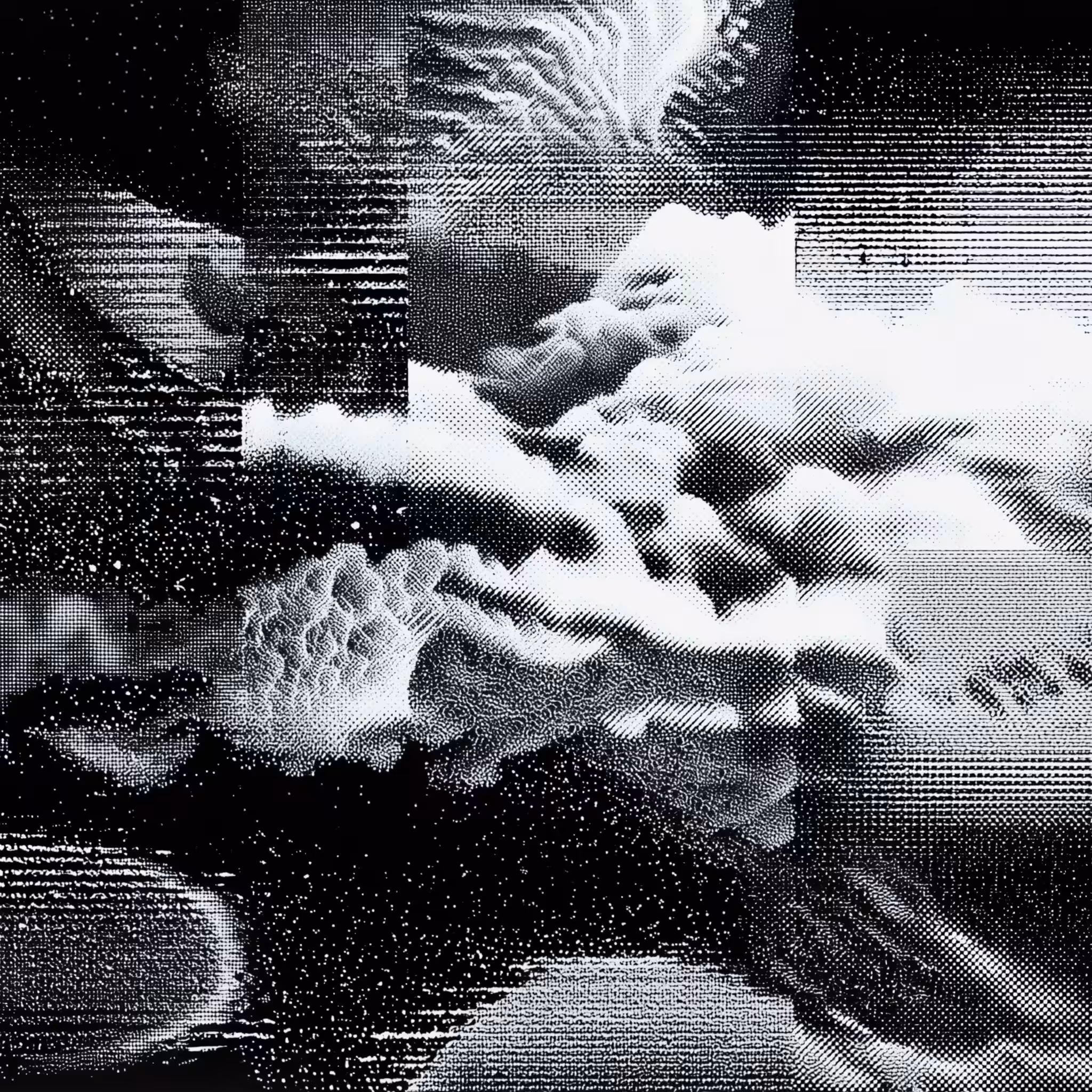 Fold in the Silence: Fold [20]
