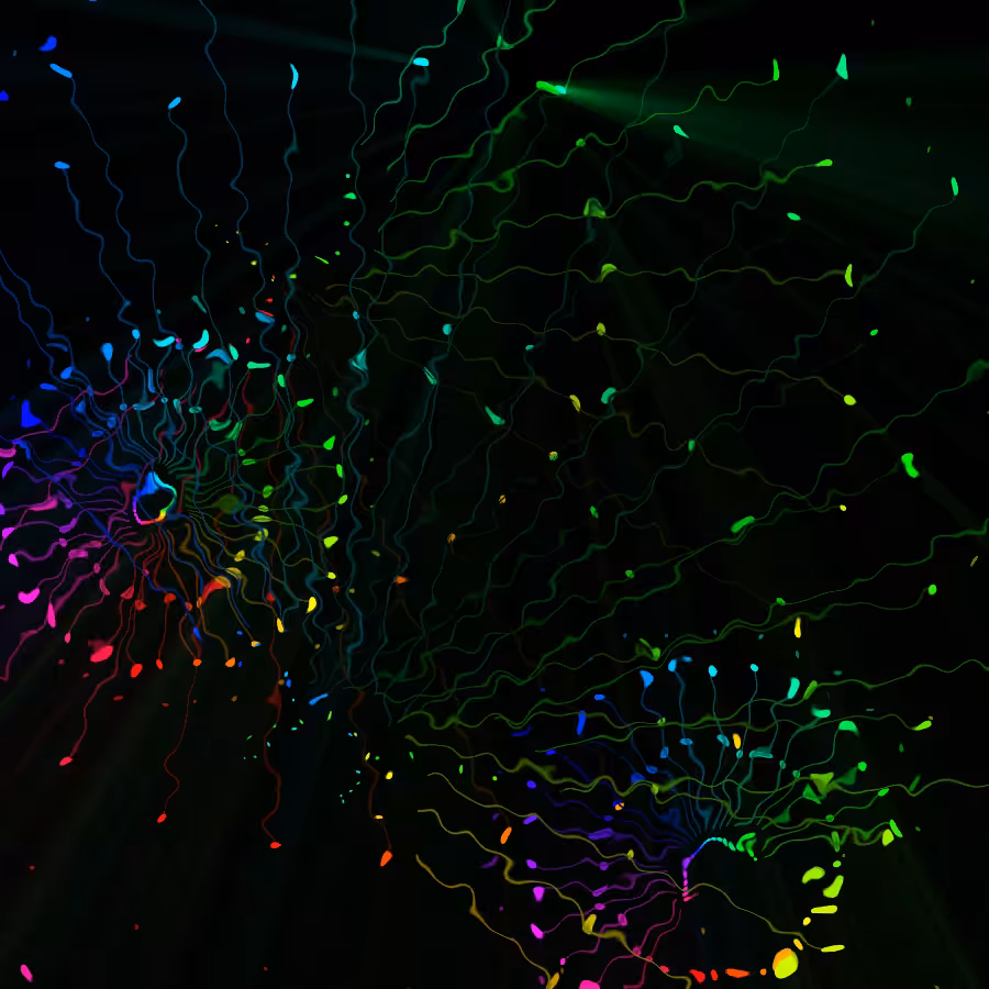 fx(rings/dots) #23
