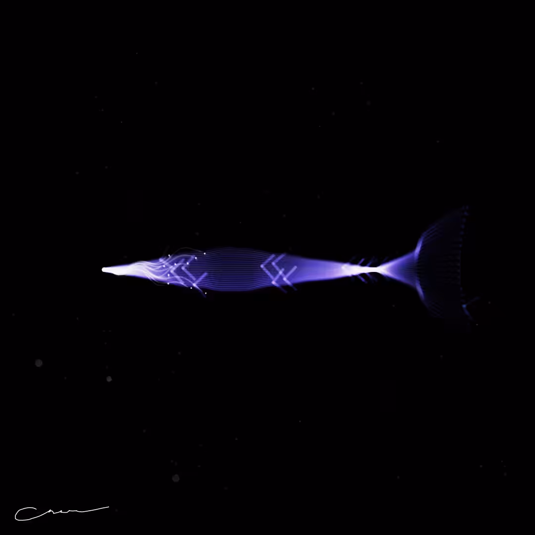 SoulFish #71