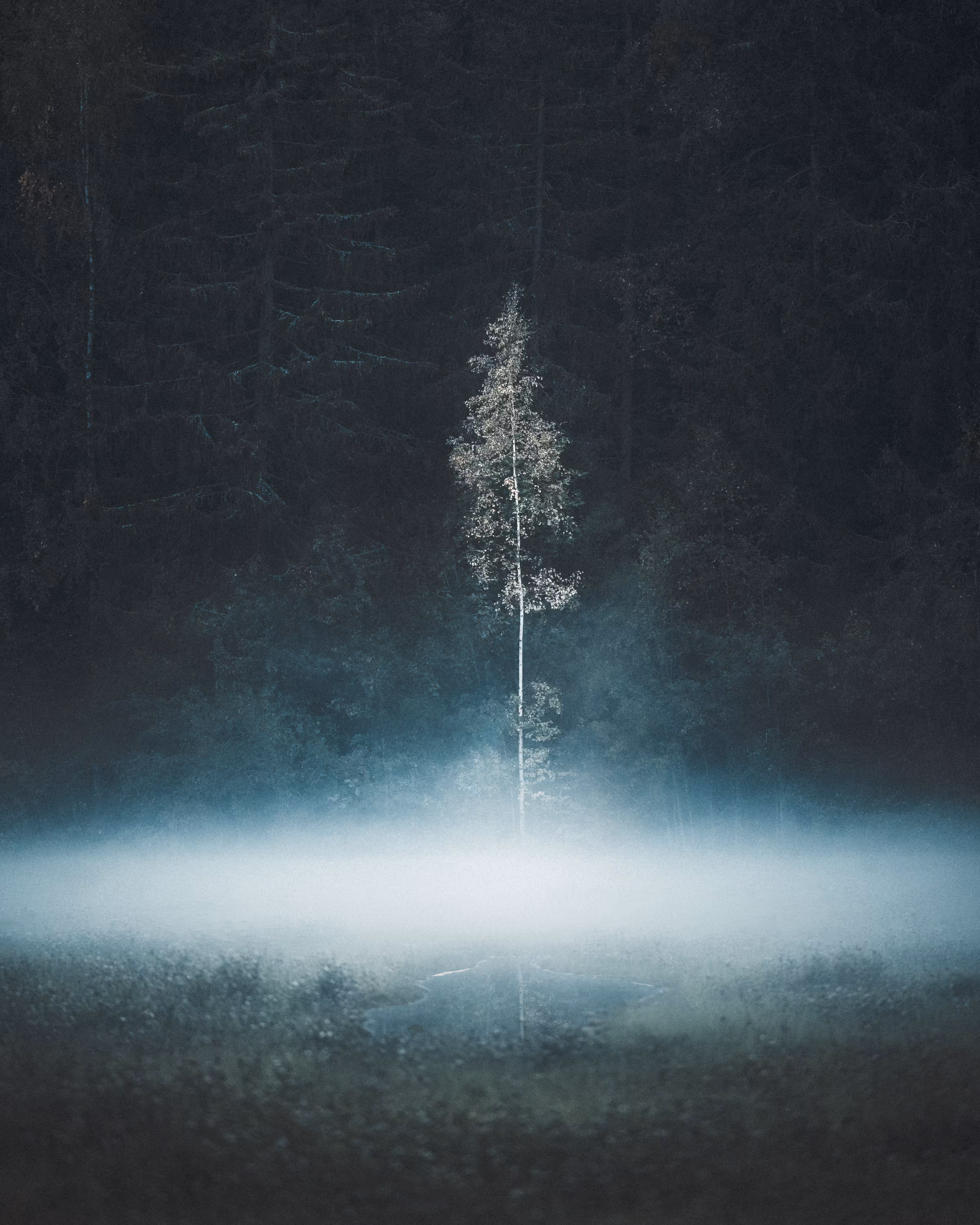 HARMONIA: Quiet Solitude