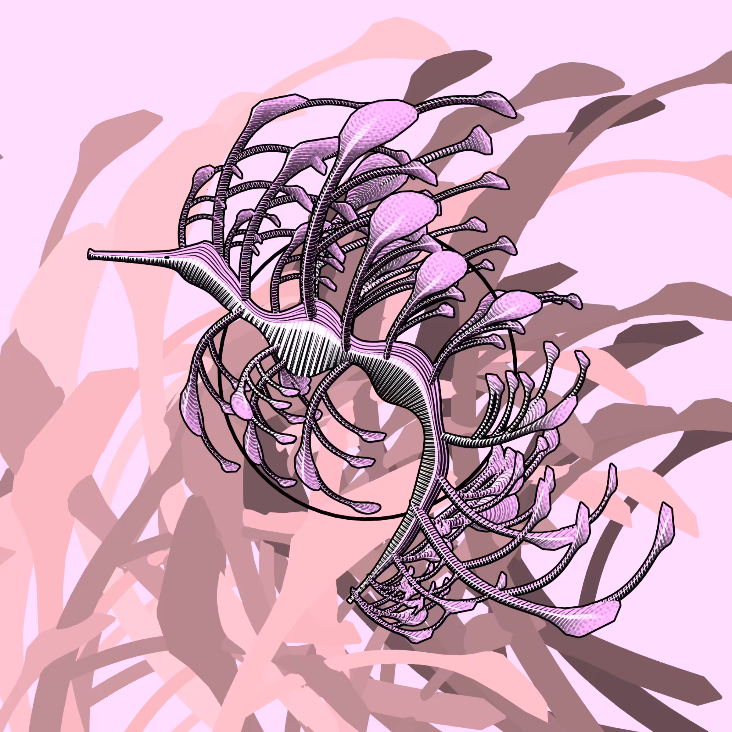 Seadragons #807