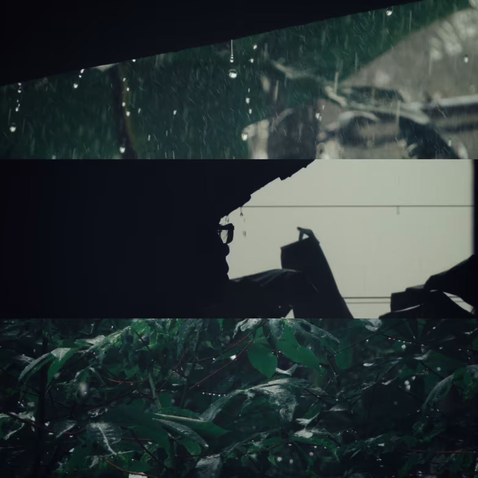 Falling Love