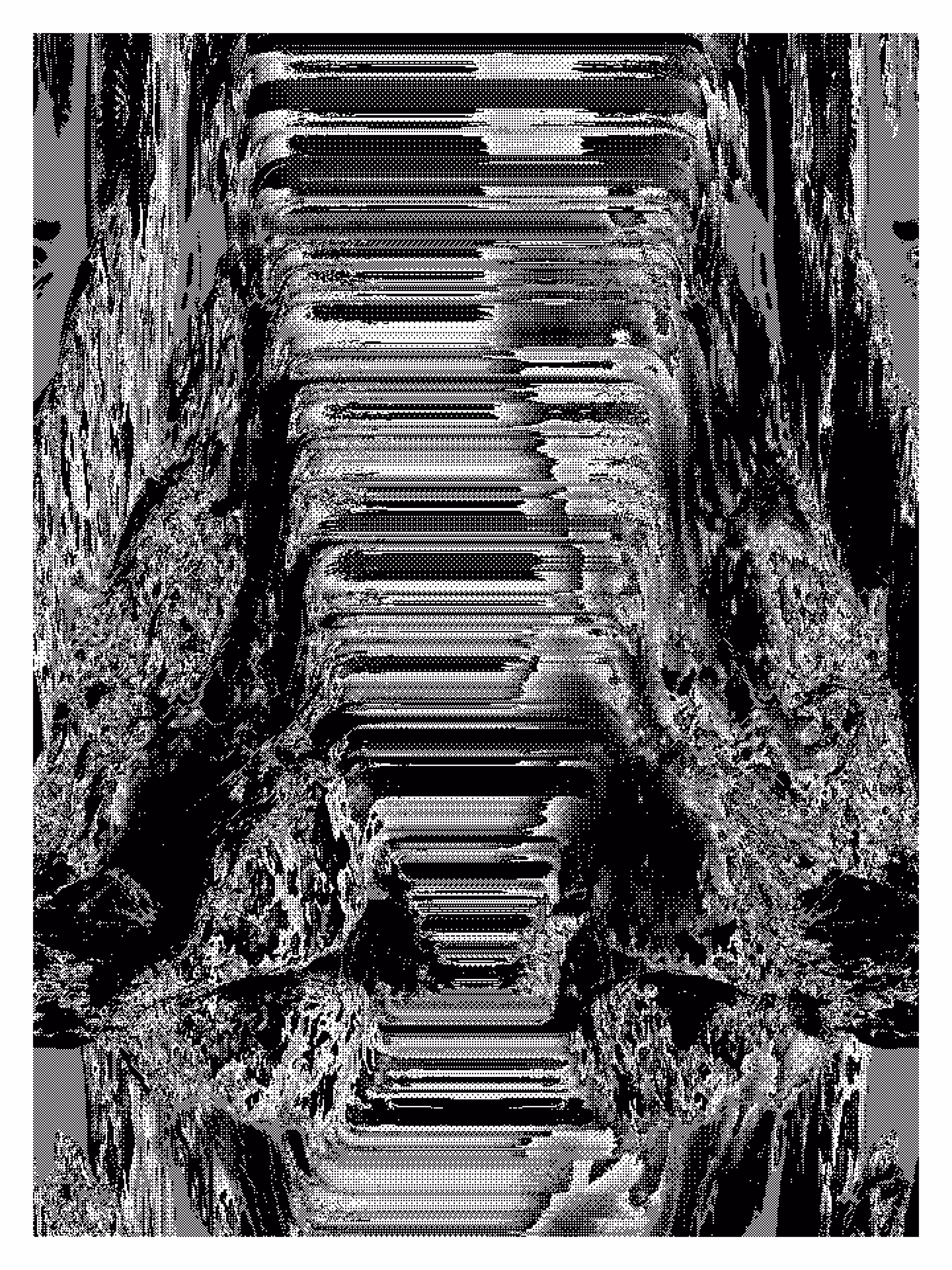 the Still