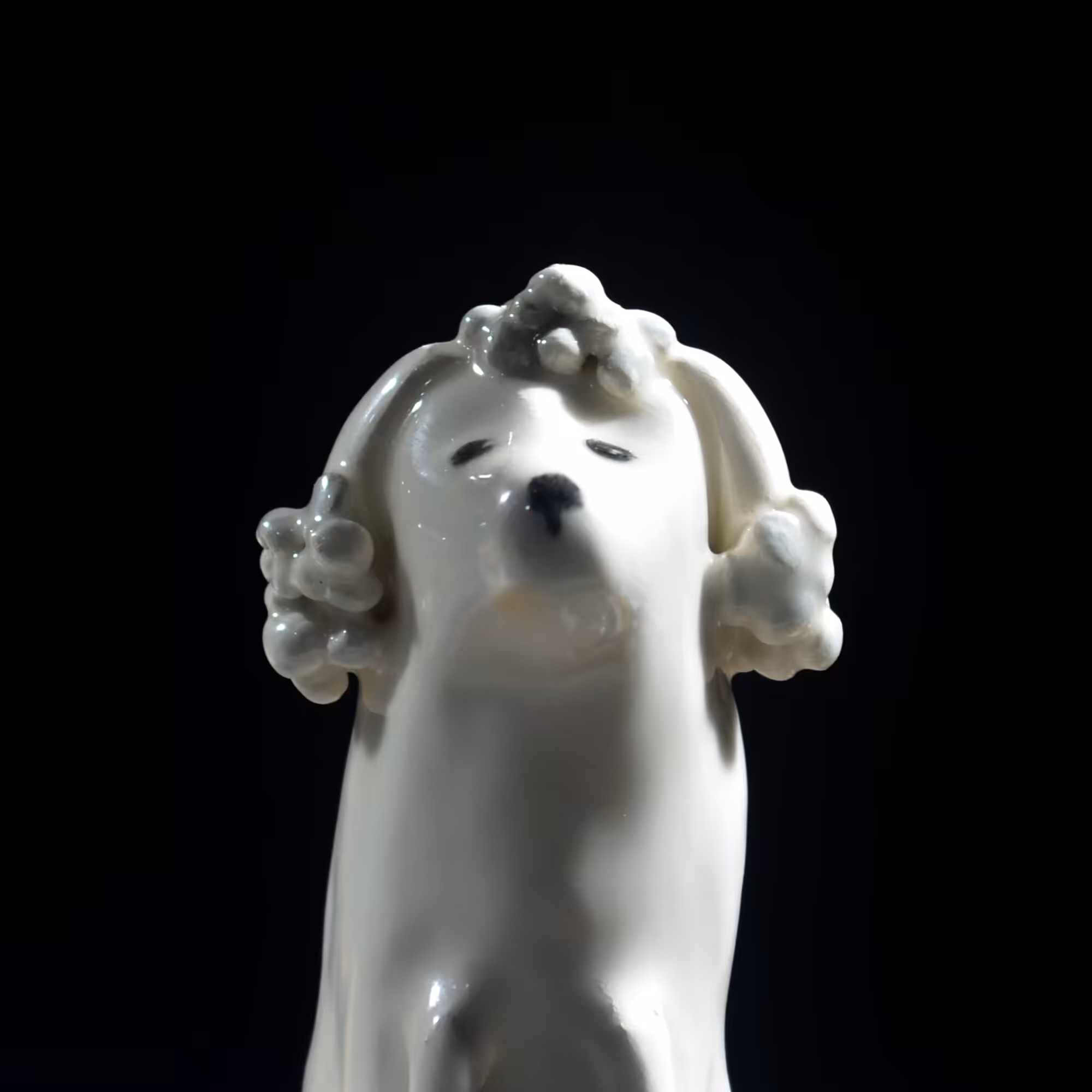 pfpup#0076