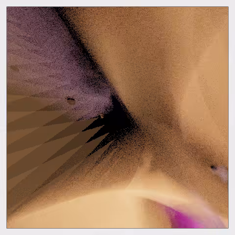Light reverberations #89