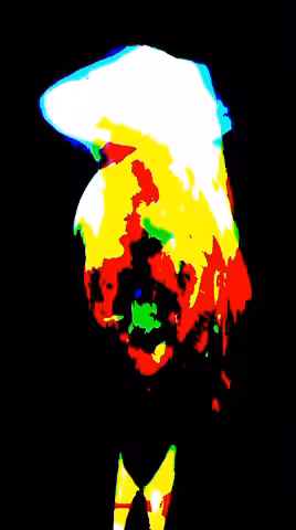 Alien Bird