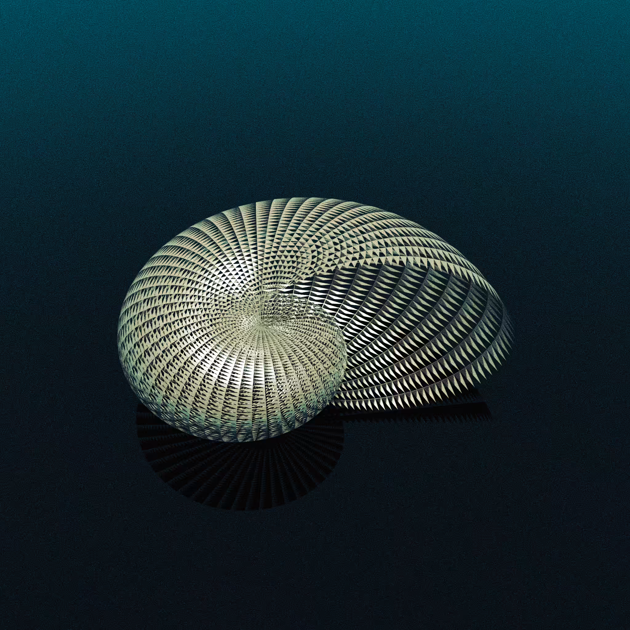 Argonauta 3