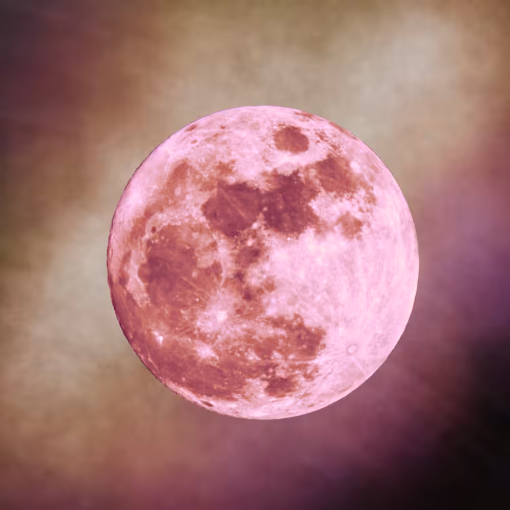 -<Beta Moons>- #10