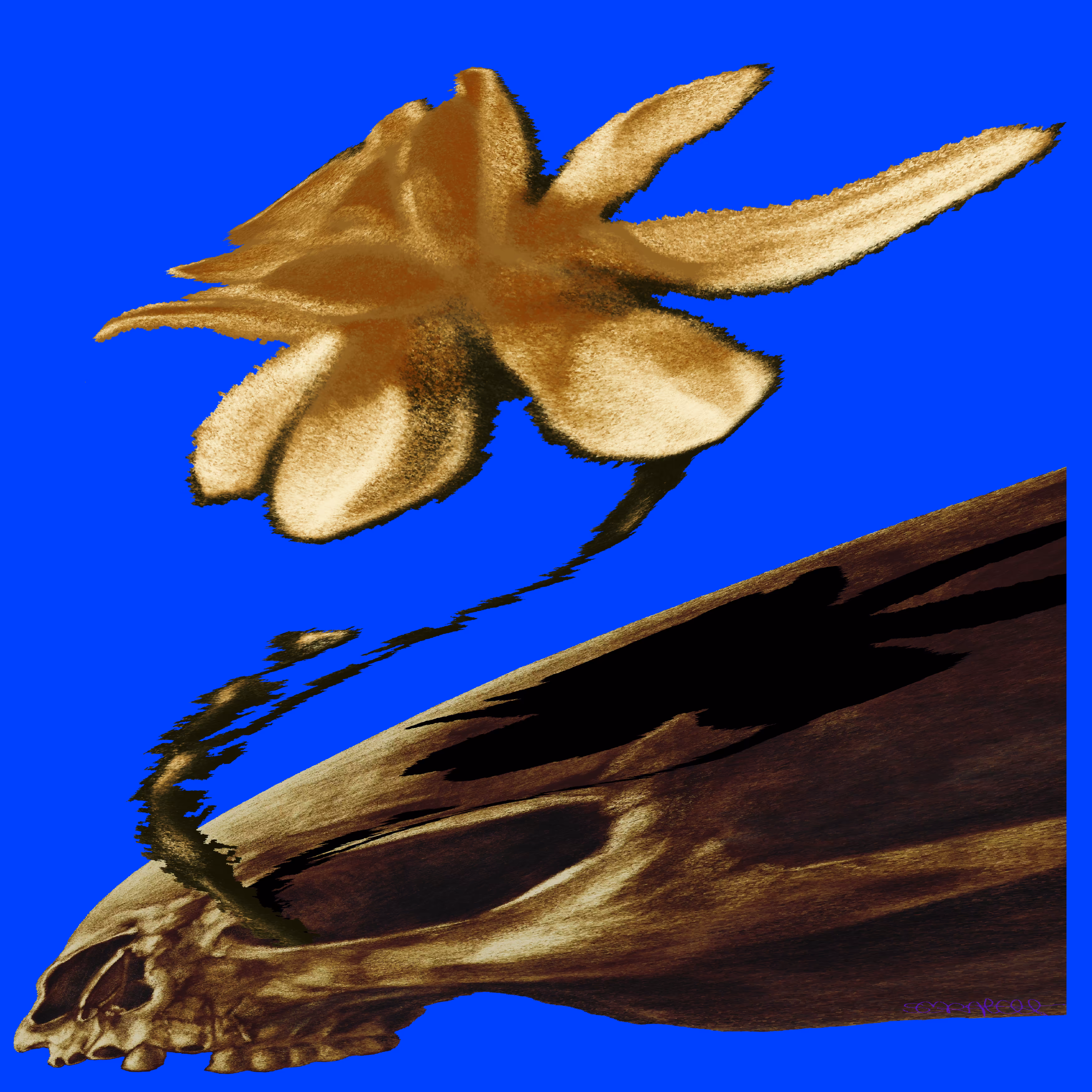 Skull and Daffodil