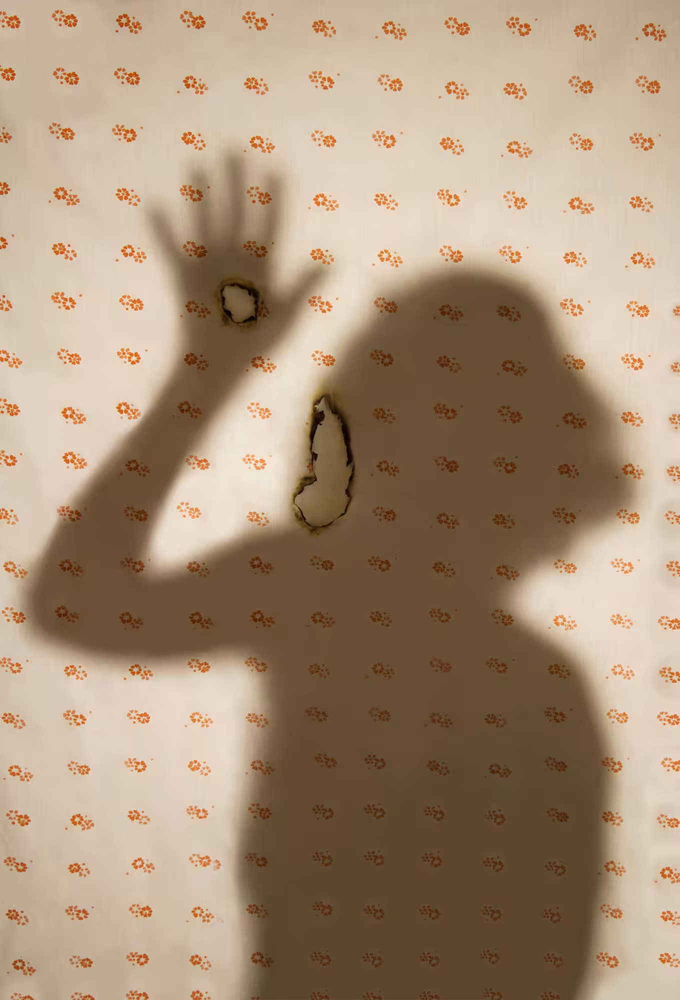 scream of shadow 